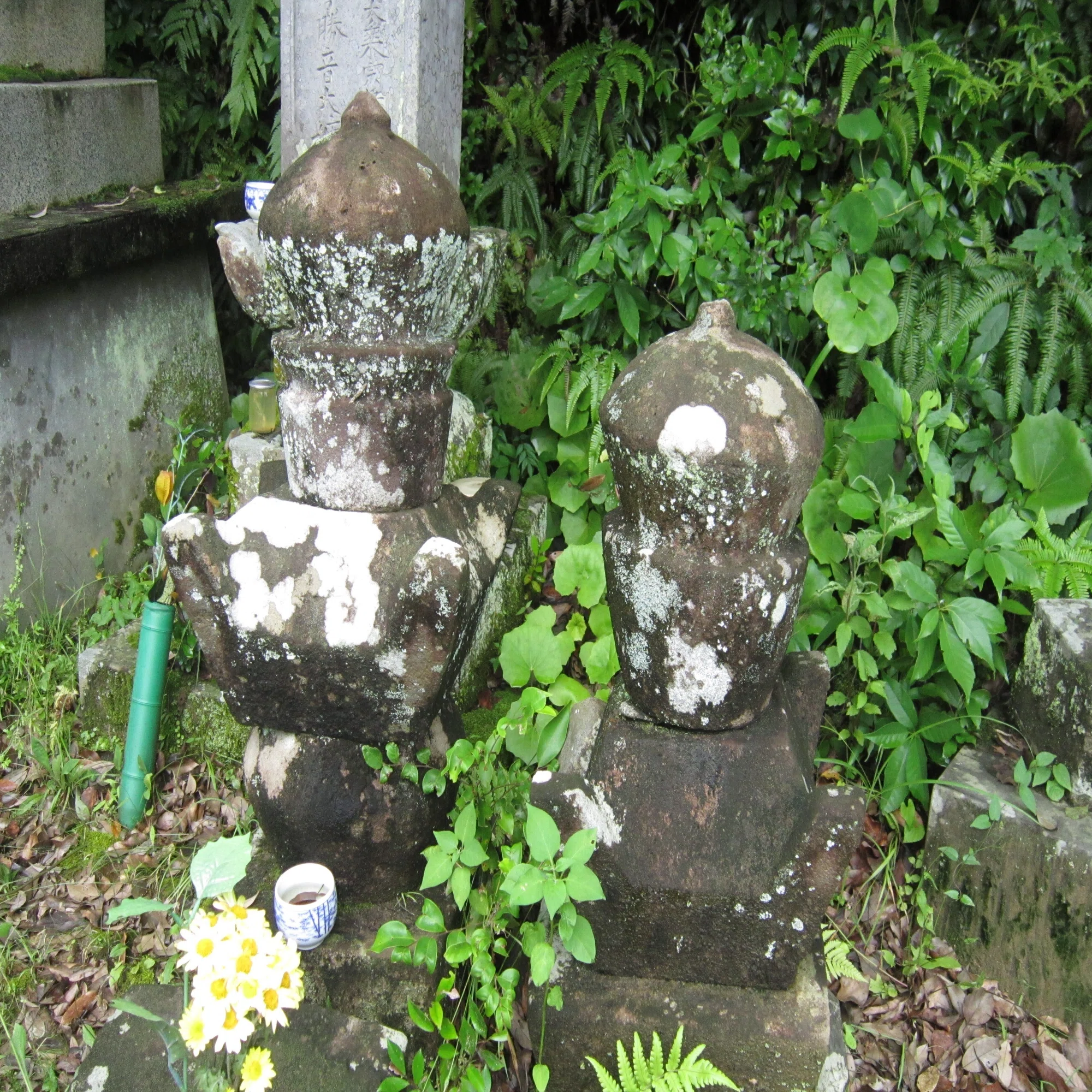 内田文武 ぬくい 線路沿い