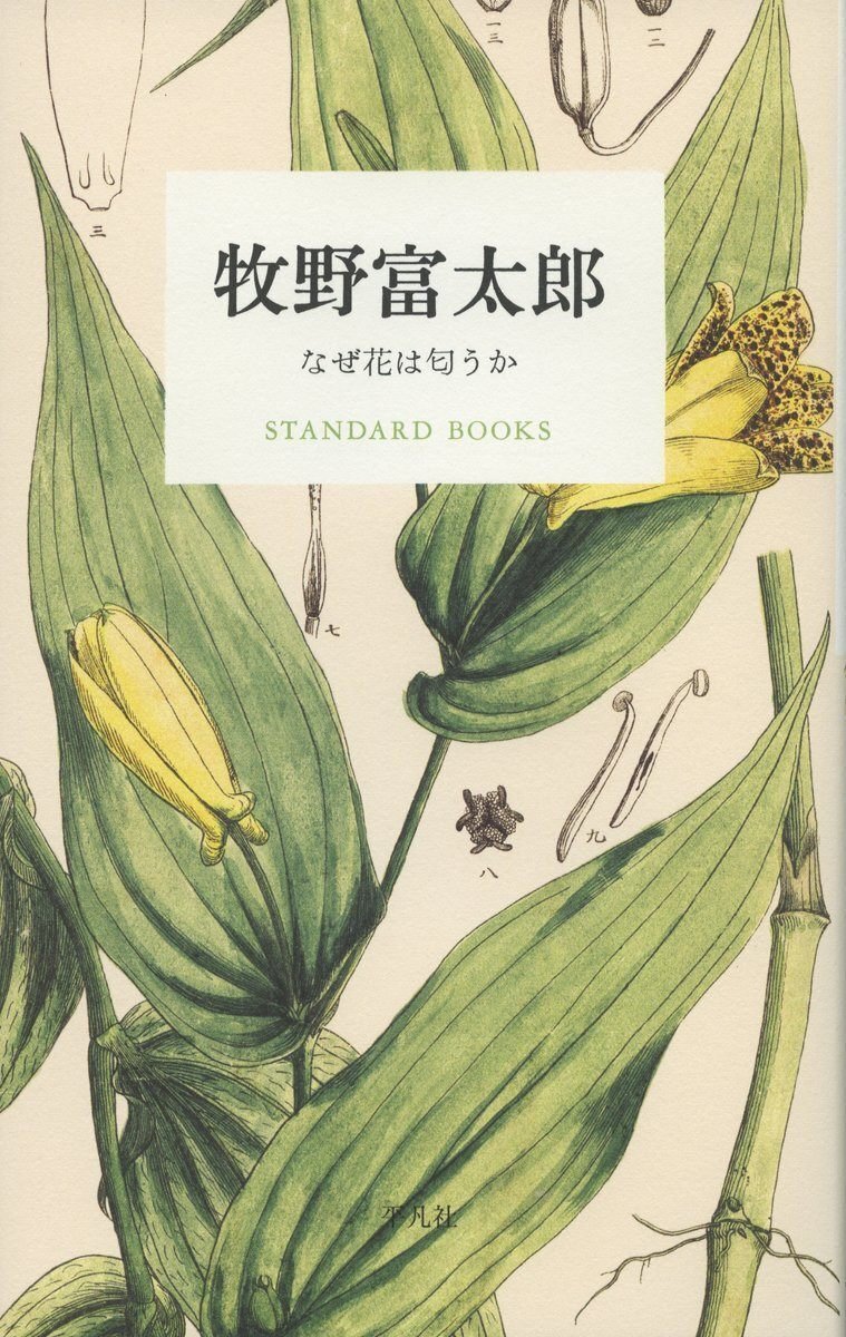 【戦前・初版本】大植物圖鑑　昭和十六年　らんまん・牧野富太郎ライバル　村越三千男 朝ドラ らんまん。牧野富太郎と村越三千男 | mizusumashi-tei