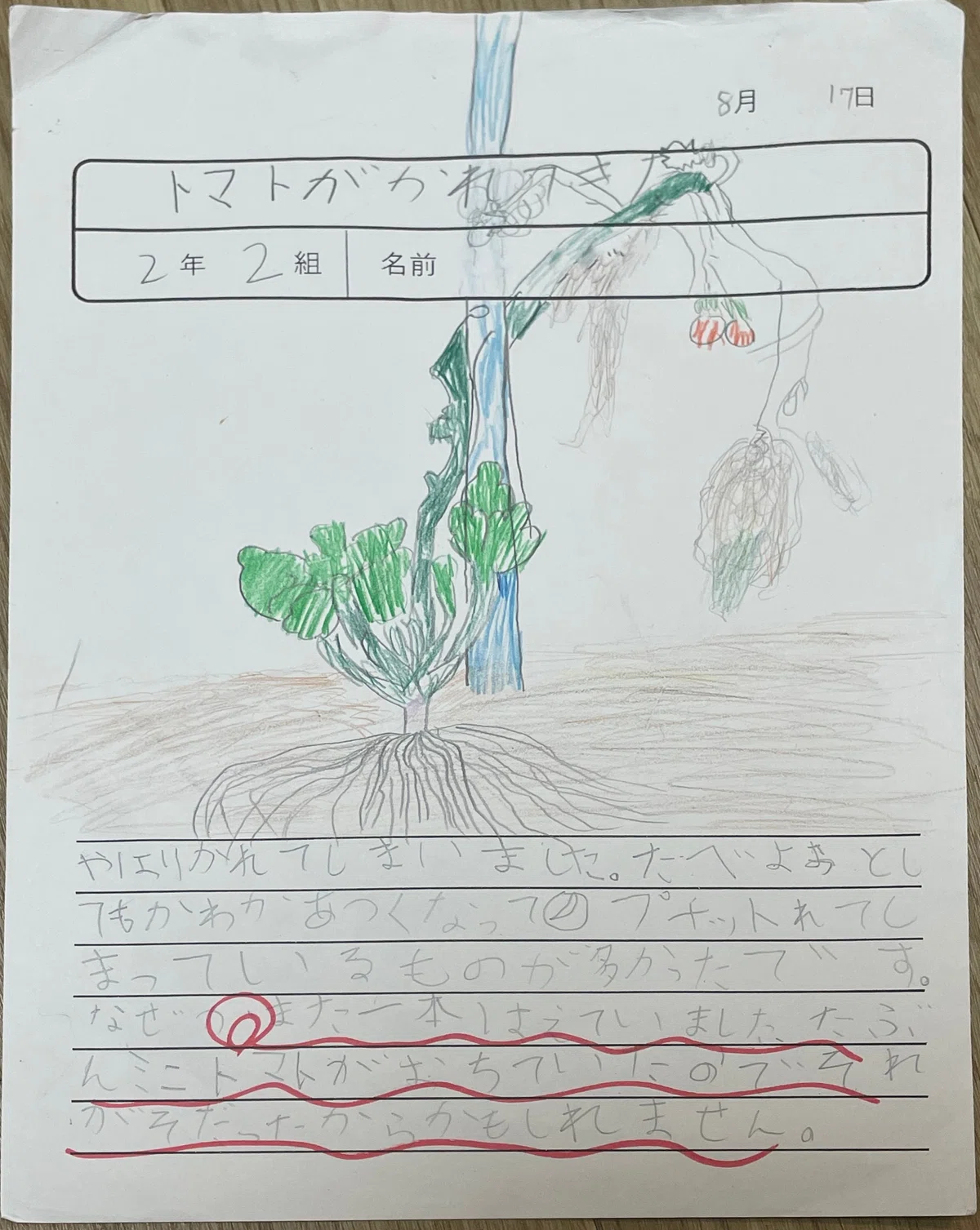 らんまん】のモデル『牧野富太郎』が描いた植物画と、息子が描いた植物 