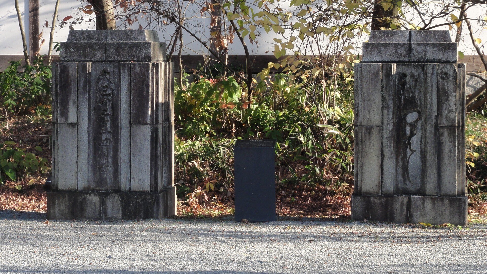 Amazon.co.jp: 根津翁伝 非売品 根津嘉一郎東武鉄道 東武 南海