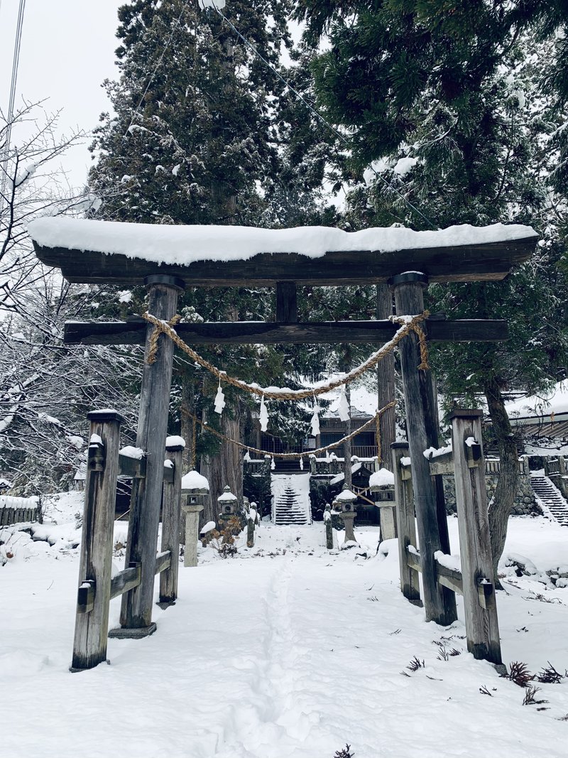 冬至の朝。キンと冷えた空気。地元の神社にお詣り。