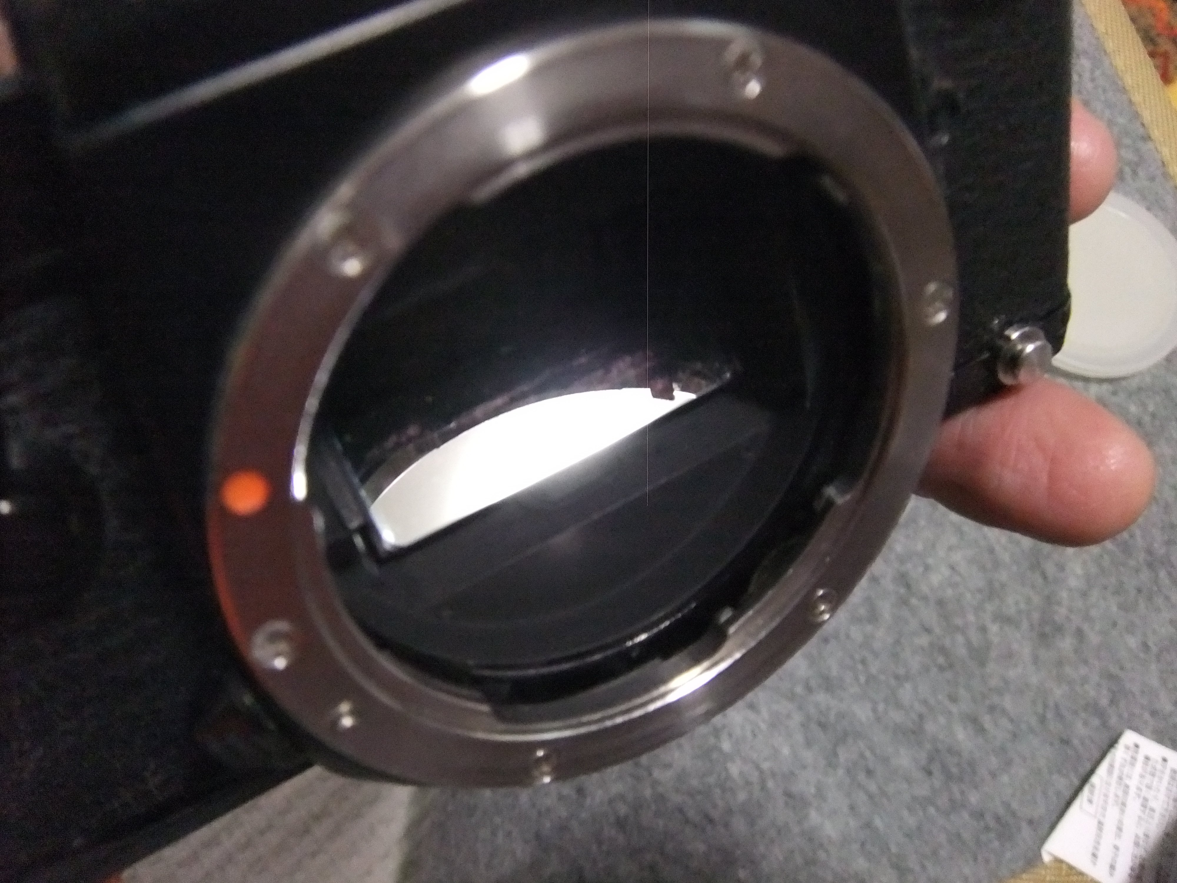 帰ってきた僕のPentax LX｜tomitomi_otomi