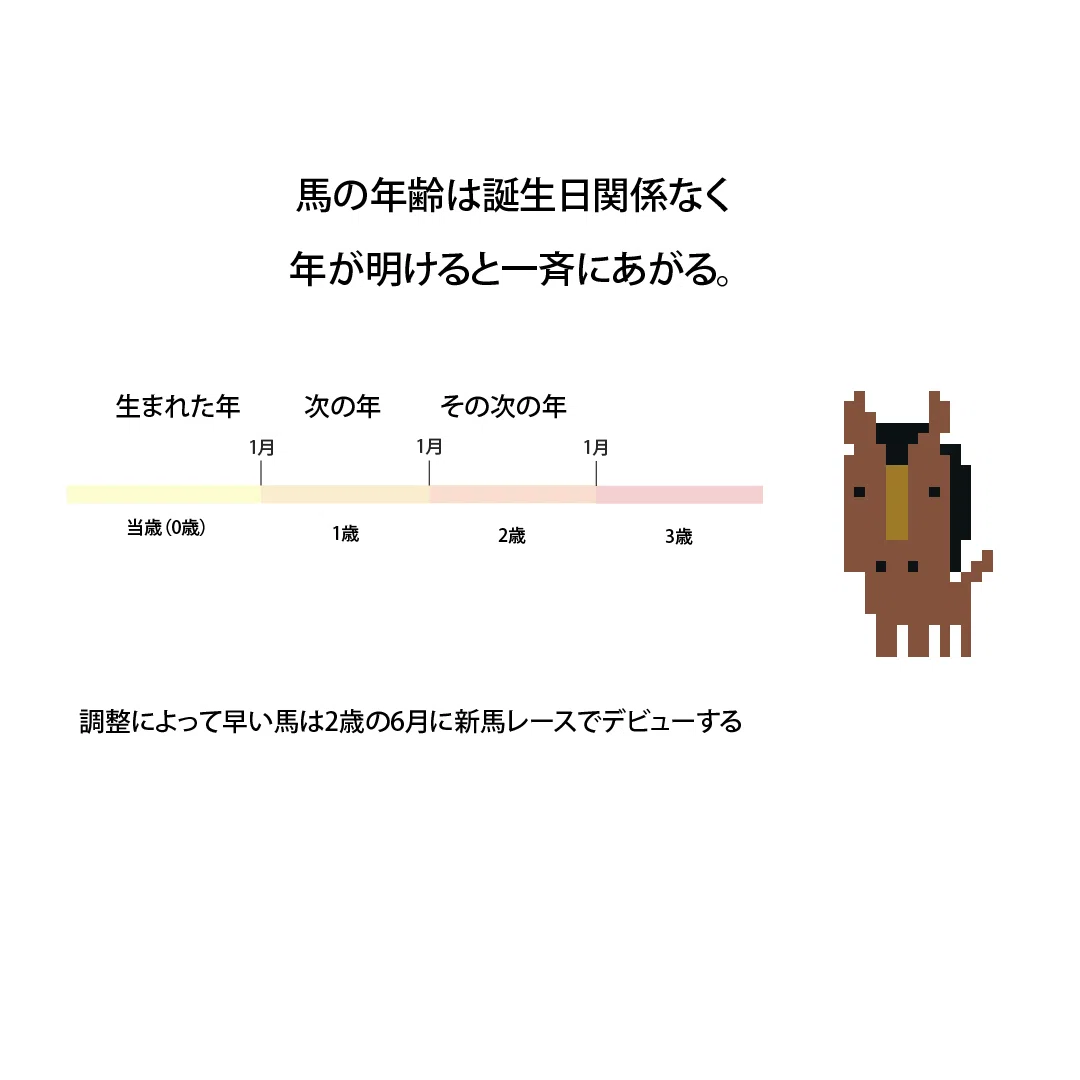 馬 の 年齢