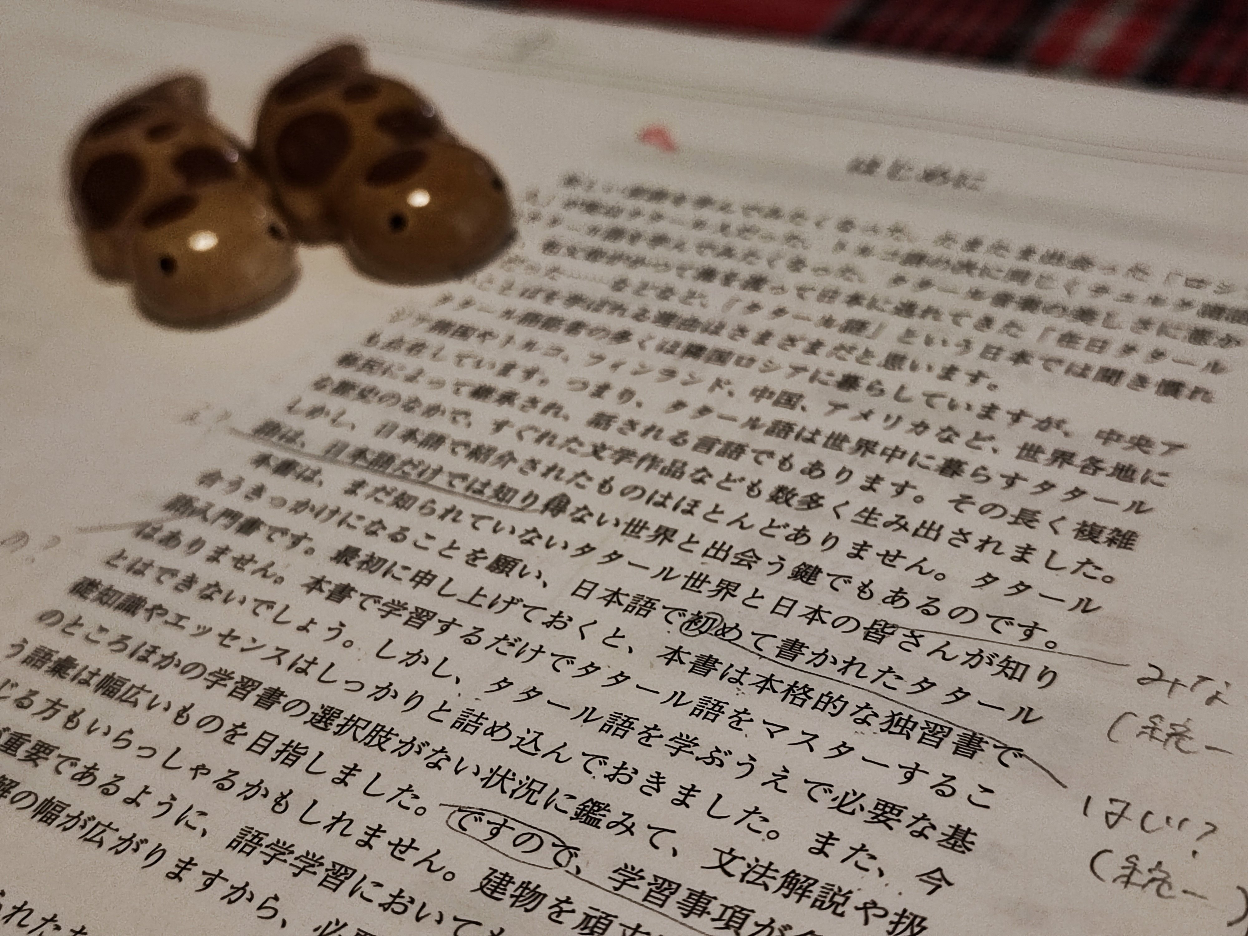 希少本 ニューエクスプレス日本語 ニューエクスプレス・スペシャル 日本語の隣人たち I+II[合本] | 中川