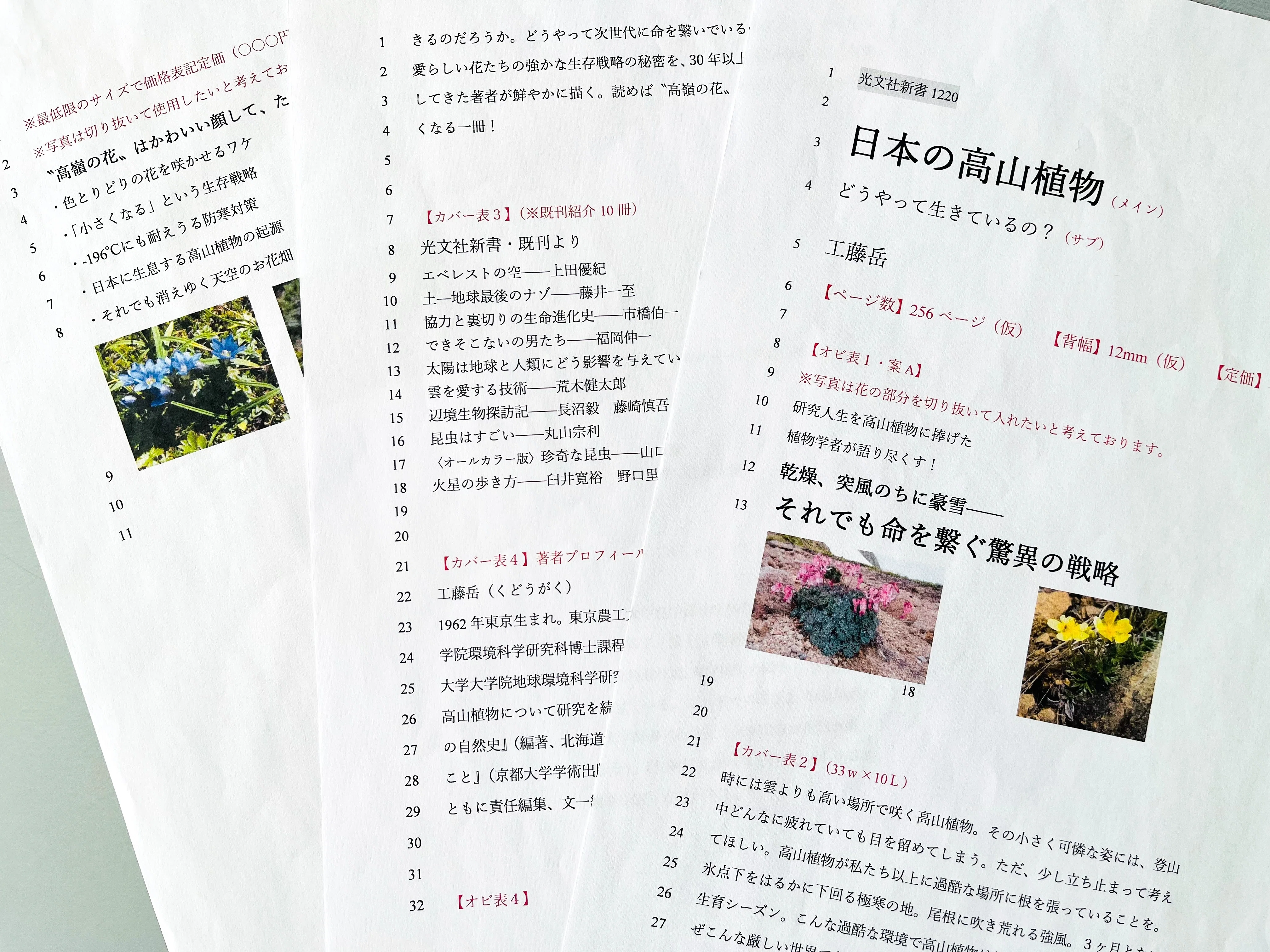 新書が1冊できるまで ③：書籍の「顔」をどうするか？｜光文社新書