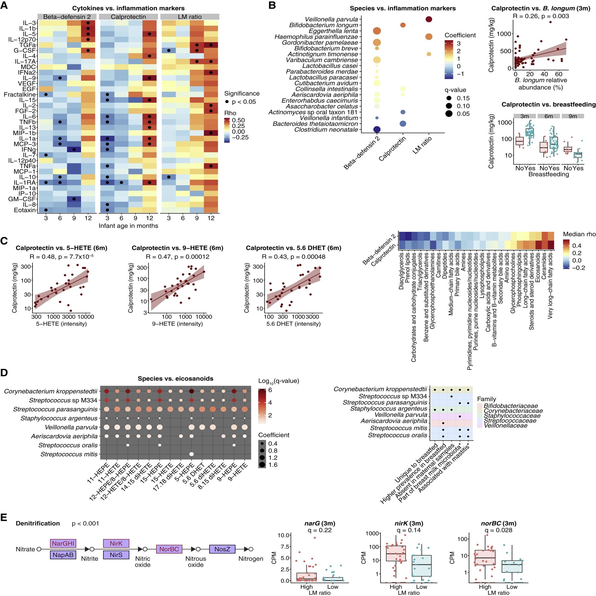 母体マイクロバイオームからの移動性遺伝要素が乳児の腸内微生物の集合と代謝を形成する｜哉百名