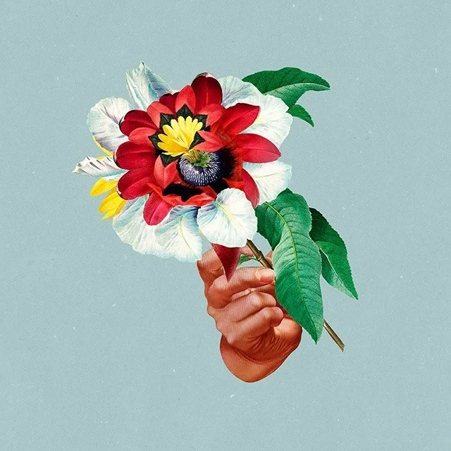 Khruangbin(感想)2018-2022年_様々な変化を聴かせるコラボ｜chishu_ryu