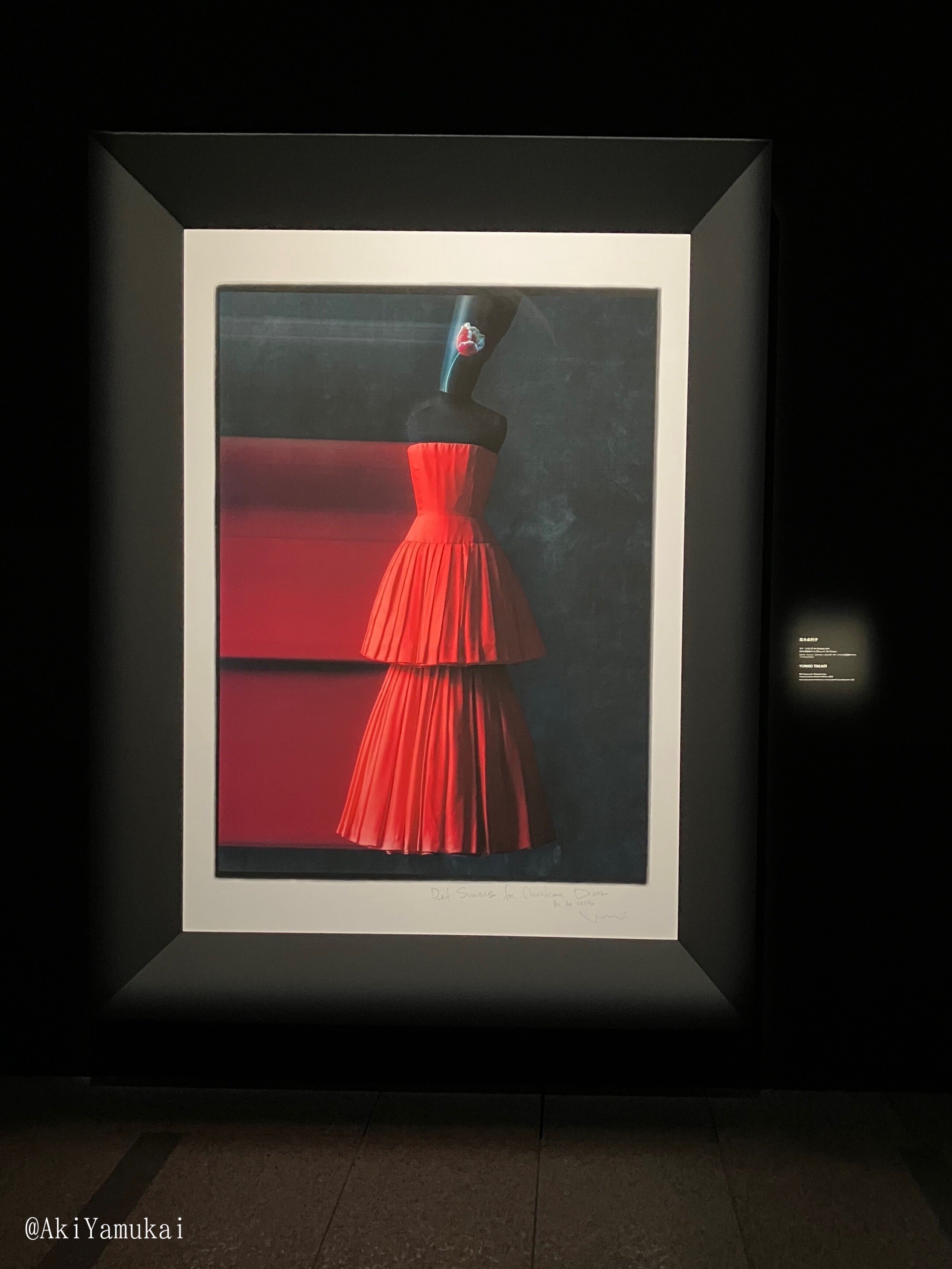 クリスチャン・ディオール、 夢のクチュリエ」展 ここ好きまとめ｜矢向