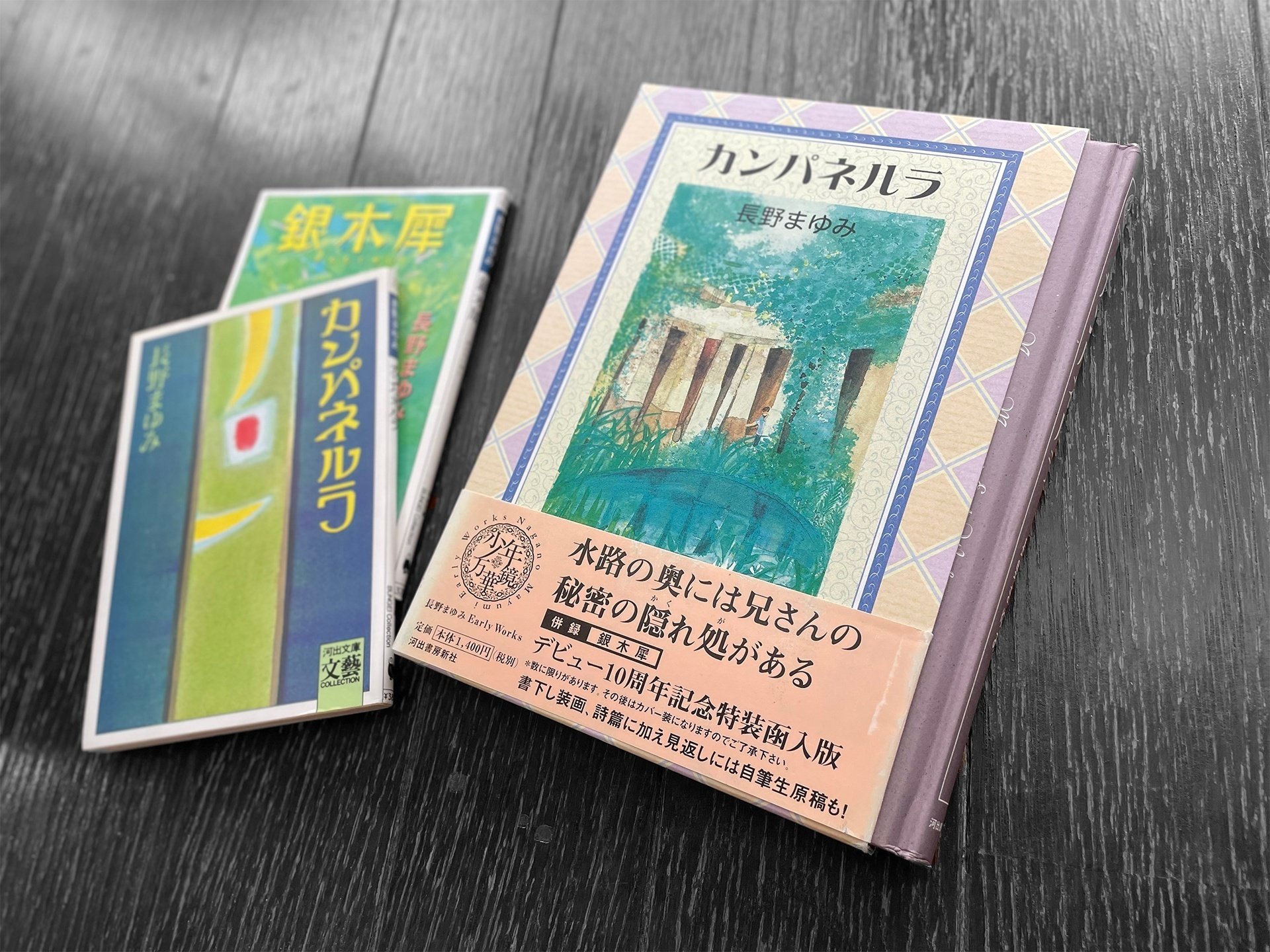 文藝を識る4作。「少年万華鏡」シリーズ 長野まゆみ おすすめ作品紹介