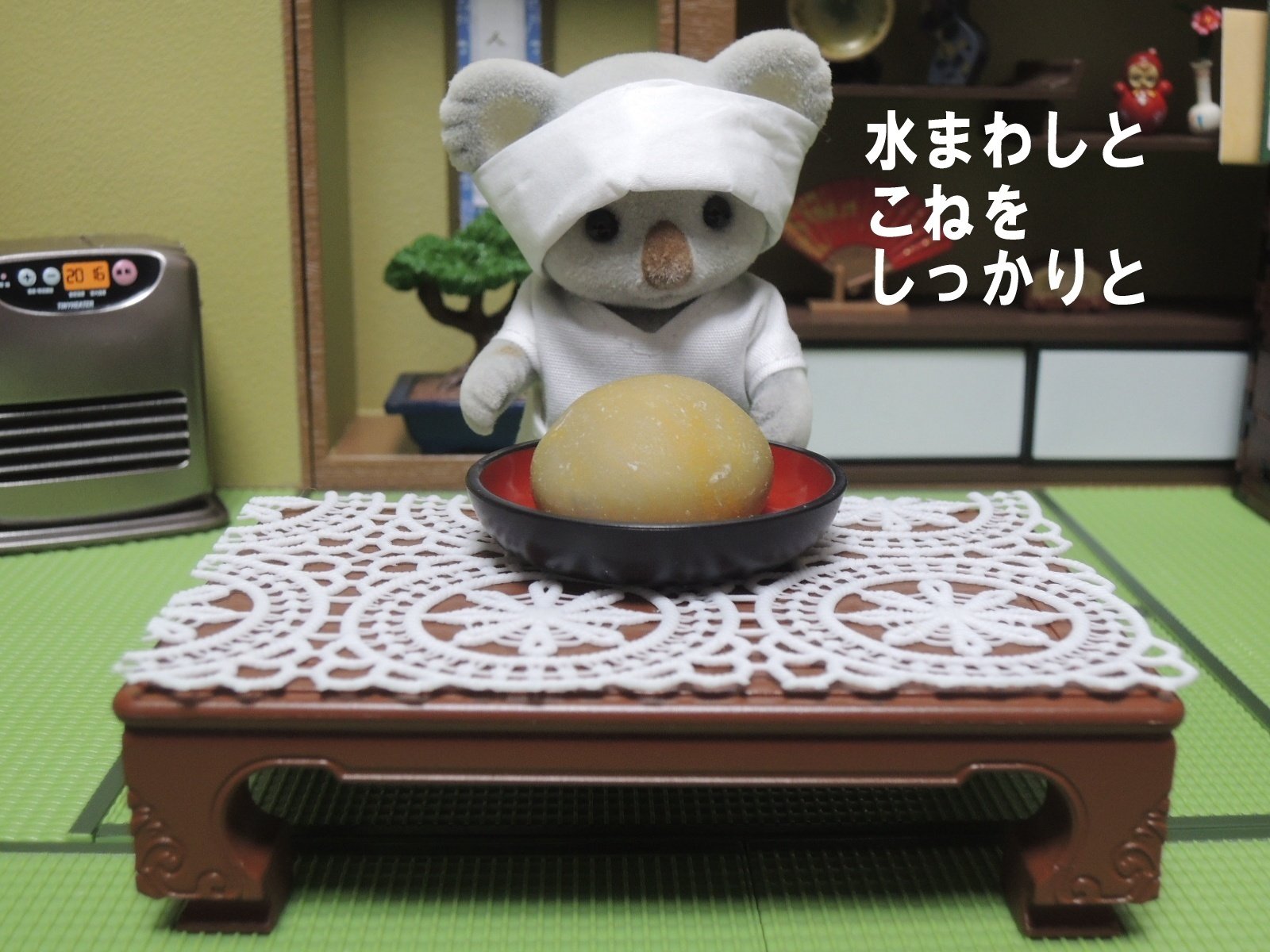 コアラおとーさんの日常 その参｜御猫様と座布団