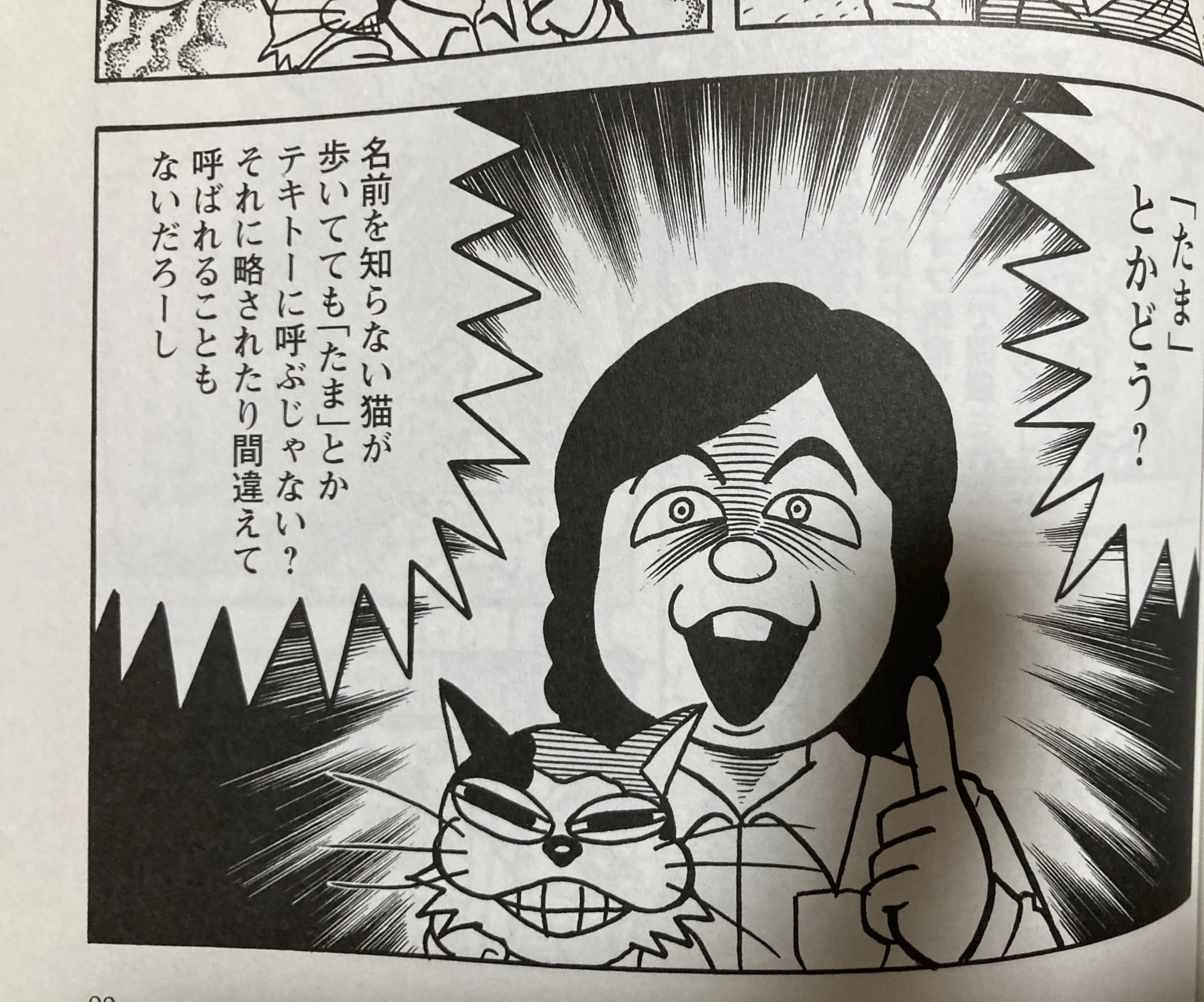 たま」という船に乗っていた」（2022年個人的年間ベスト！レビュー