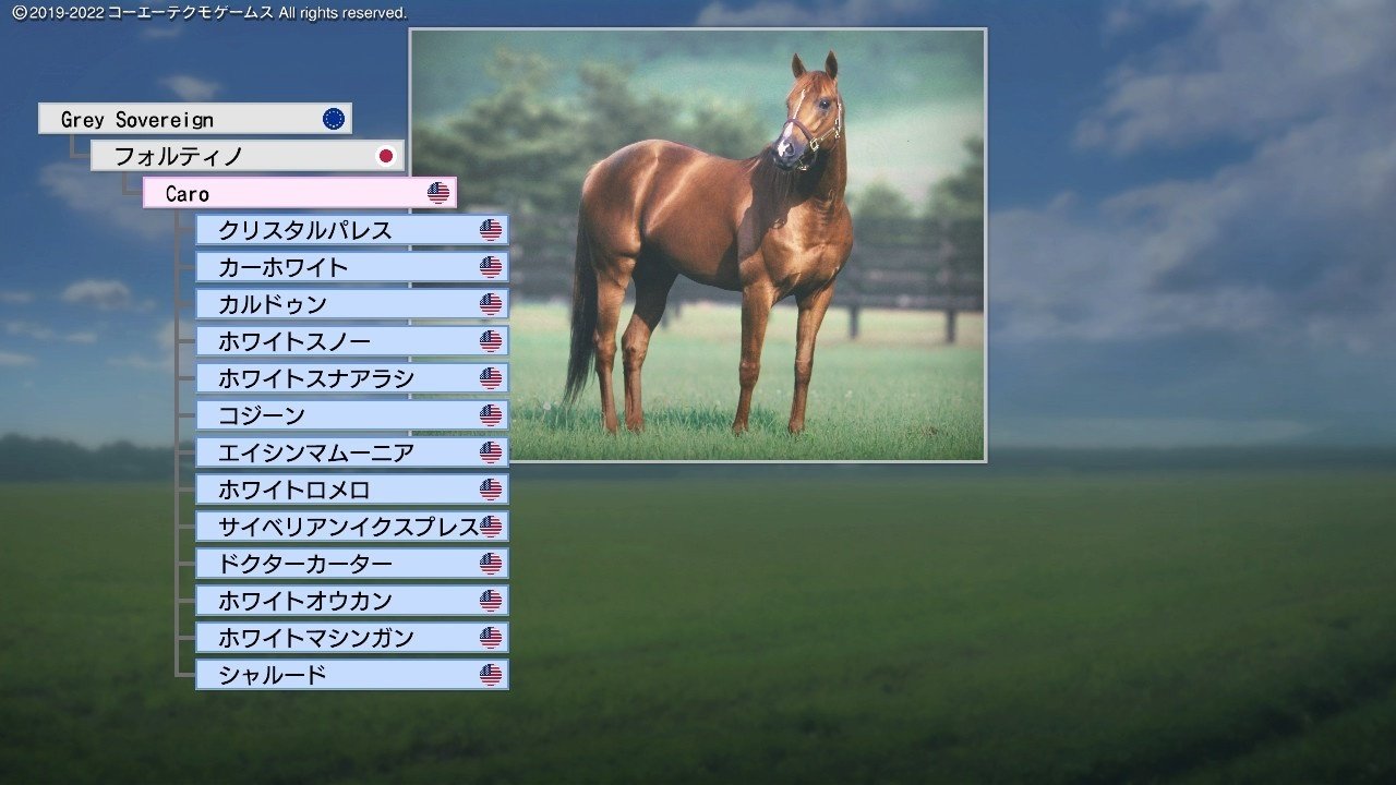 Winning Post 9 2022 カロ 系統確立｜アリゼオ