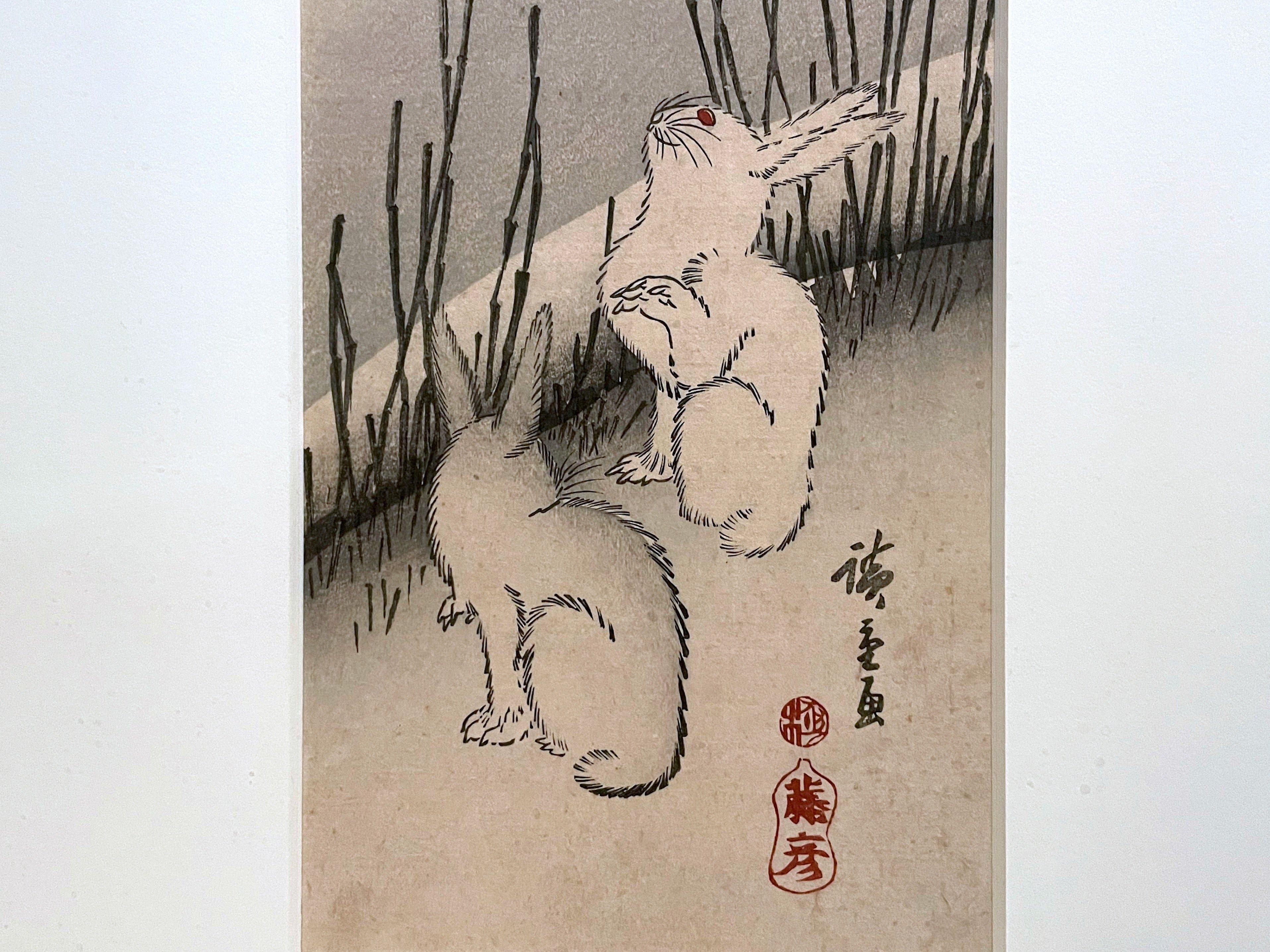 トーハクの兎の視線の先には何がある？｜かわかわ