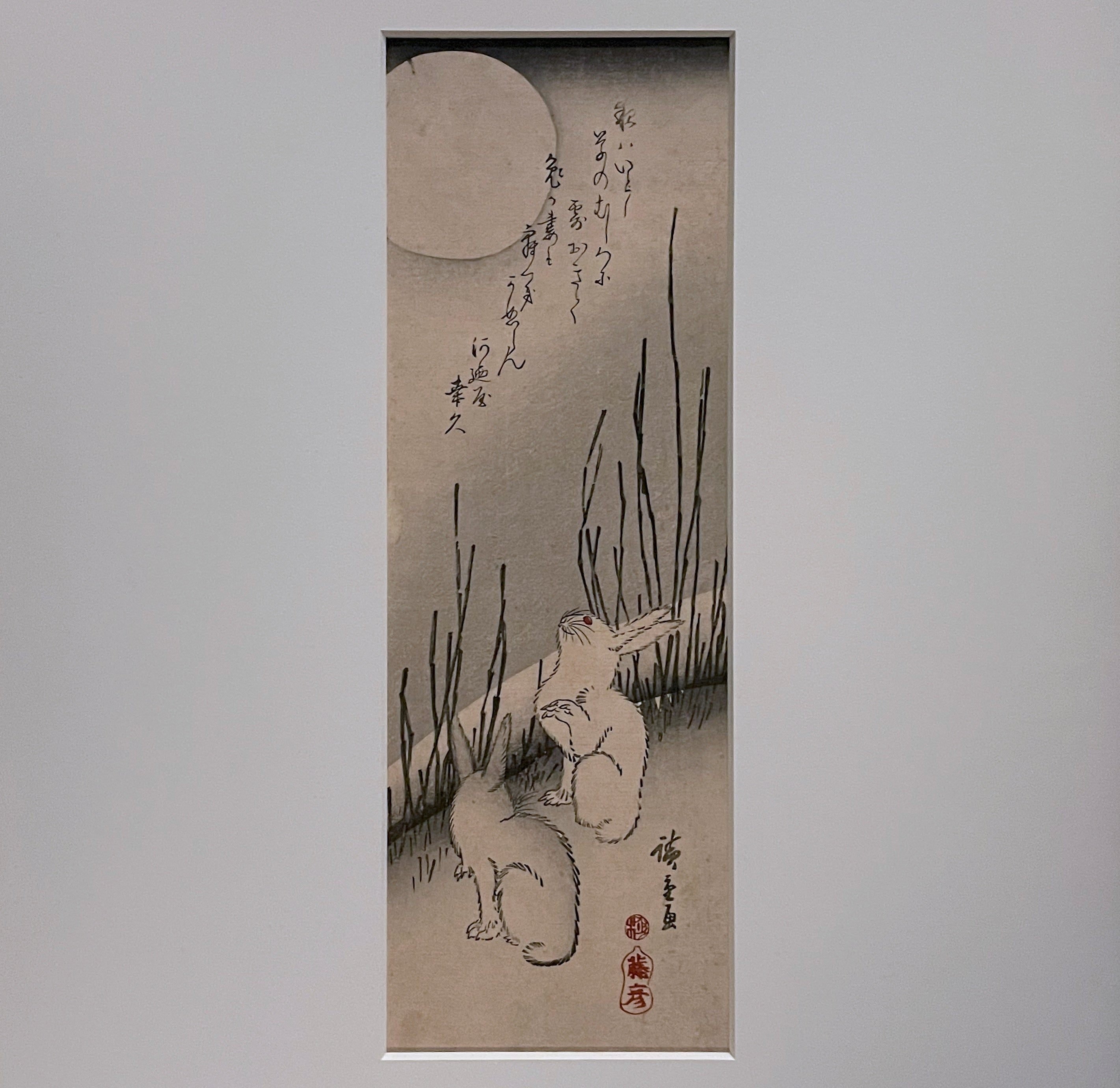 トーハクの兎の視線の先には何がある？｜かわかわ