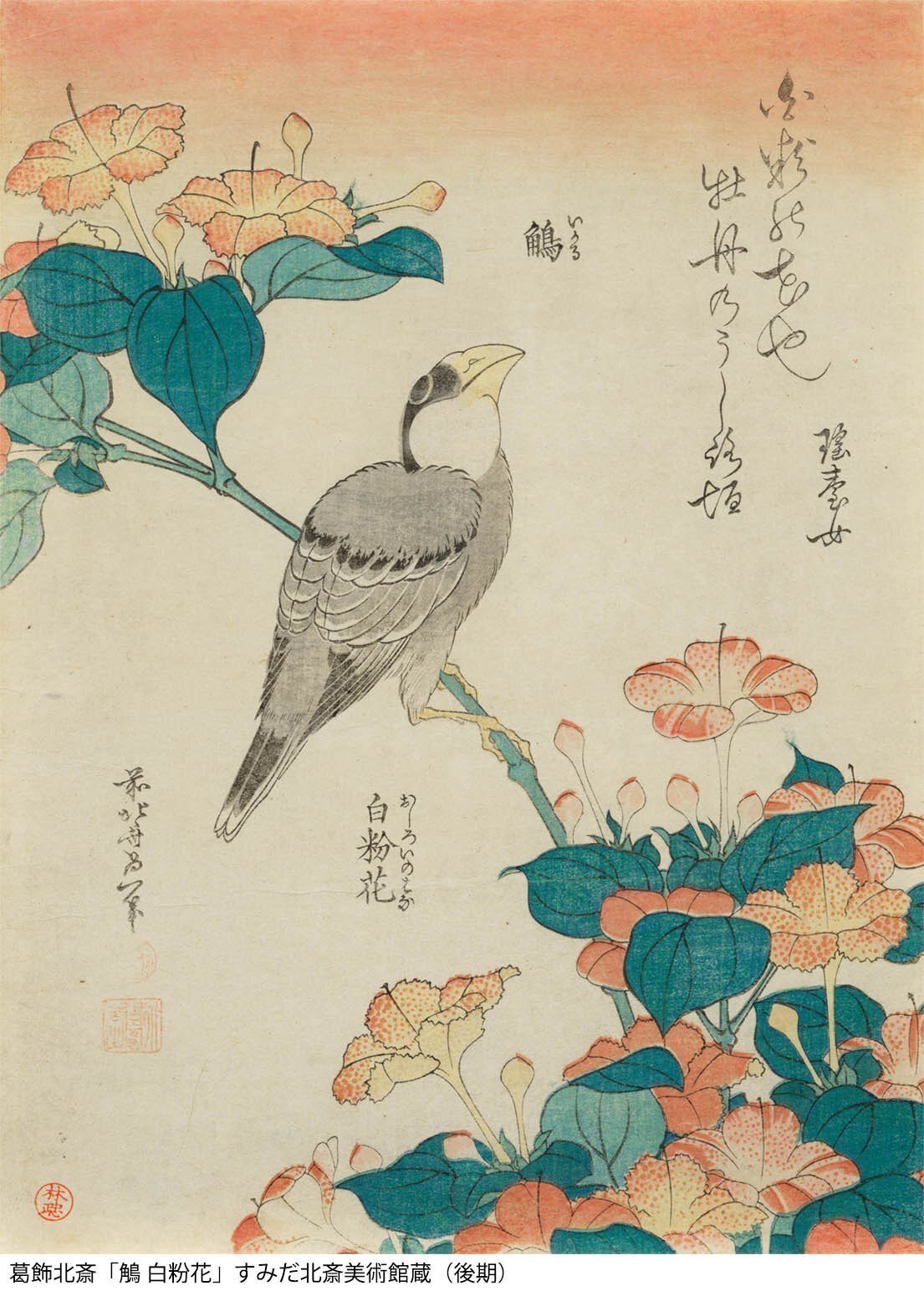 美術展ニュース】北斎が描いた“鳥”が大集合！ @すみだ北斎美術館