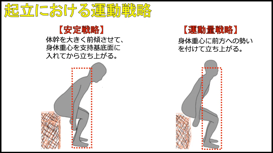 Rbmv 着座動作 特徴: 着座動作 筋肉 – 椅子への着座動作の安全性と効率について – RBMV
