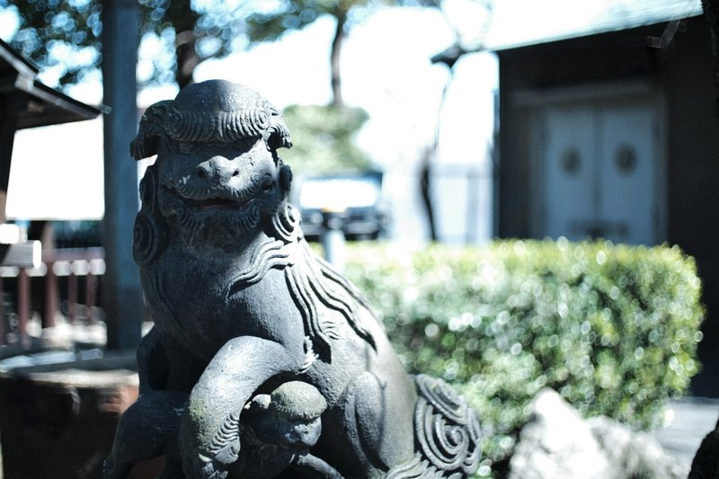 七社神社　狛犬
