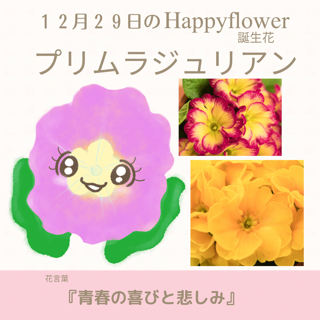 12月29日の誕生花と花言葉でおめでとう イラスト 写真 森田はぐみdesign イラストレーター Note