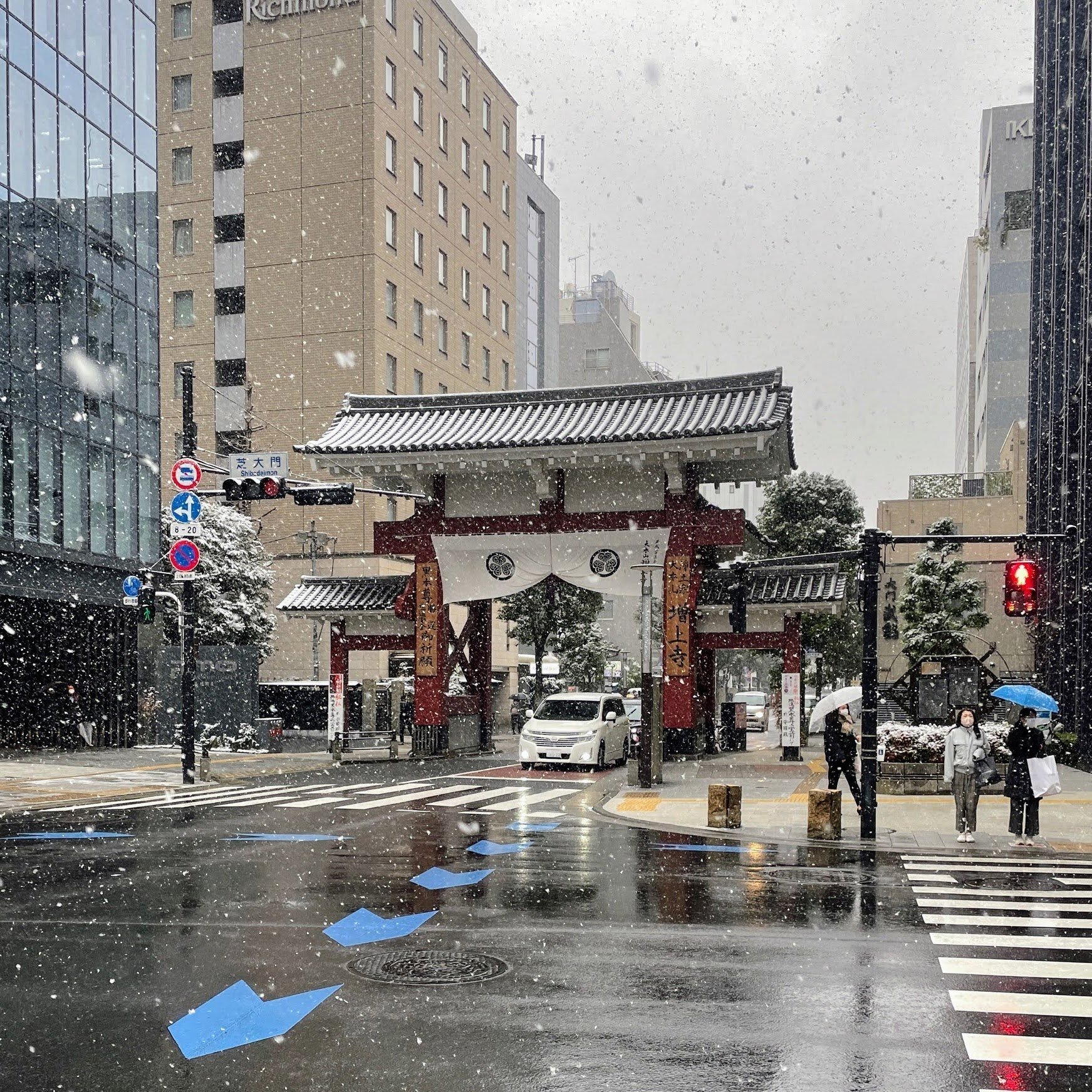 特別公開 増上寺三解脱門:1|美術館とお寺と猫 特別公開 増上寺三解脱門:1|美術館とお寺と猫