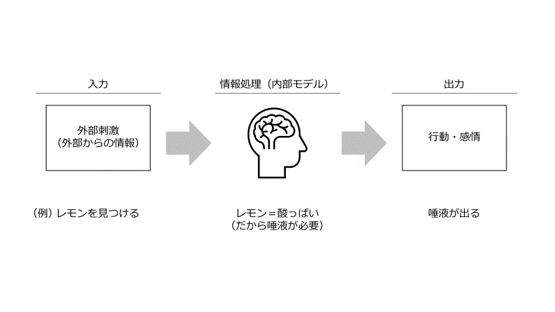 What is Coaching Based on Cognitive Science?｜Kikka