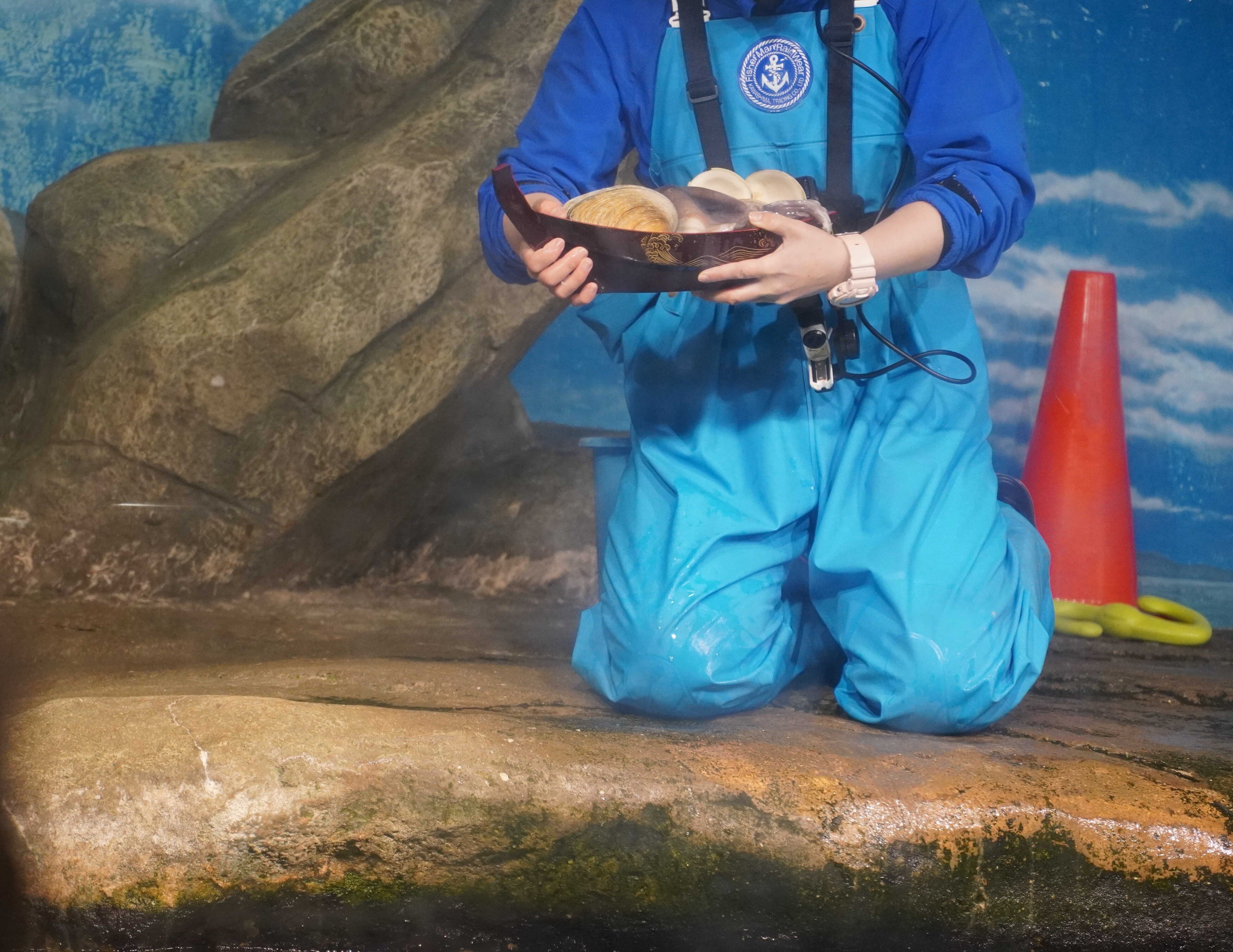 2022年のラッコ探訪記｜ロフタス