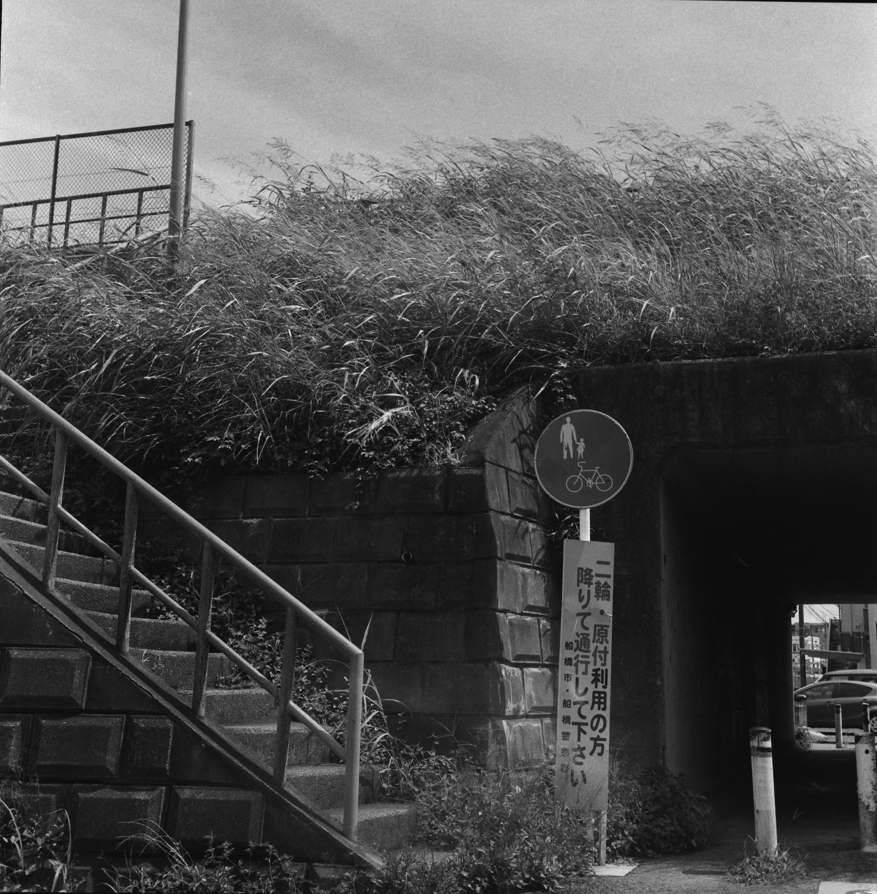 ZENZA BRONICA S2、それは僕の鮮烈な中判デビュー|131ca89 ZENZA BRONICA S2、それは僕の鮮烈な中判デビュー|131ca89