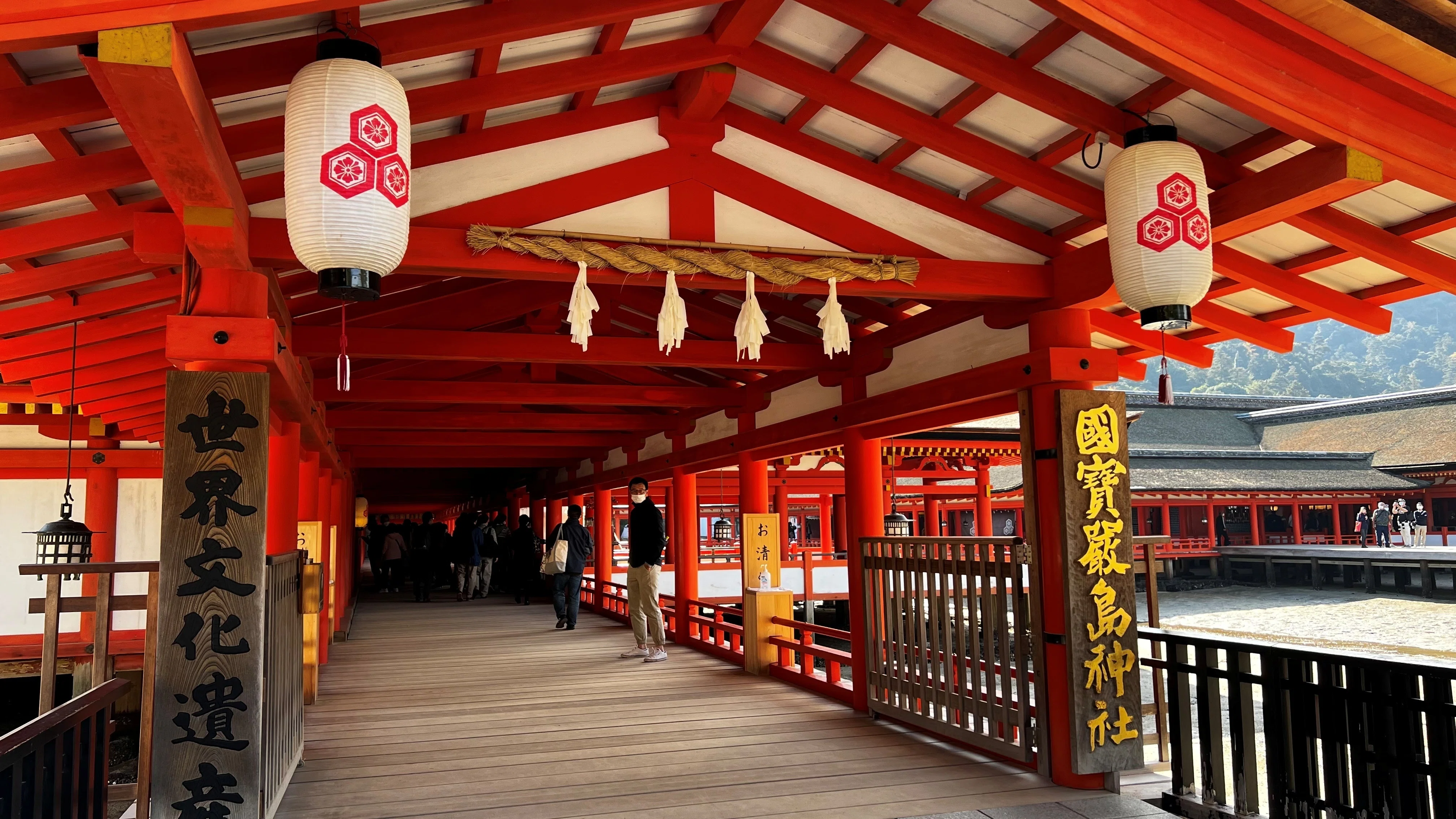 広島宮島旅】宮島の厳島神社絶景です！ 紅葉谷公園は、まさに紅葉