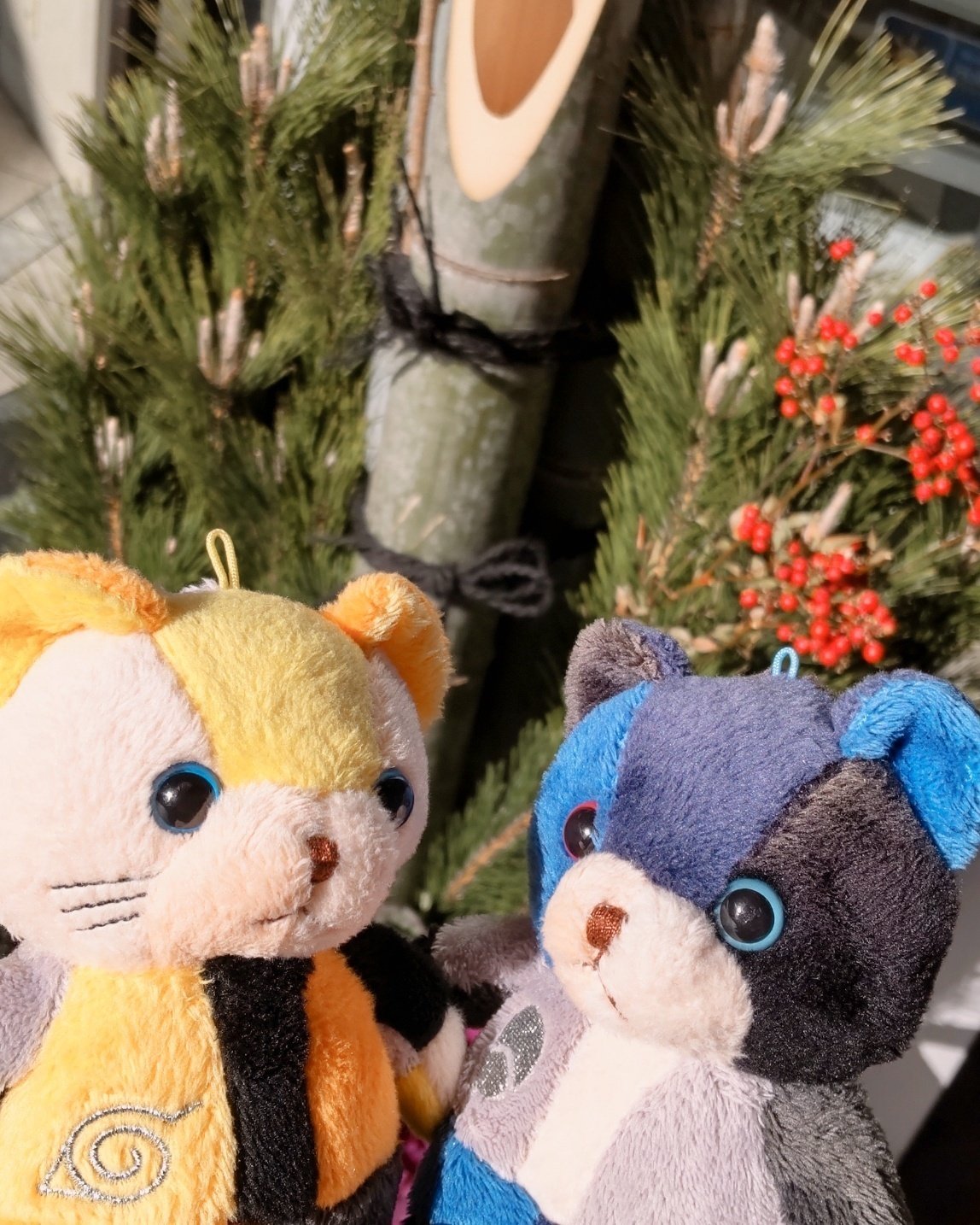 LM.C maya バースデーベア 3個セット