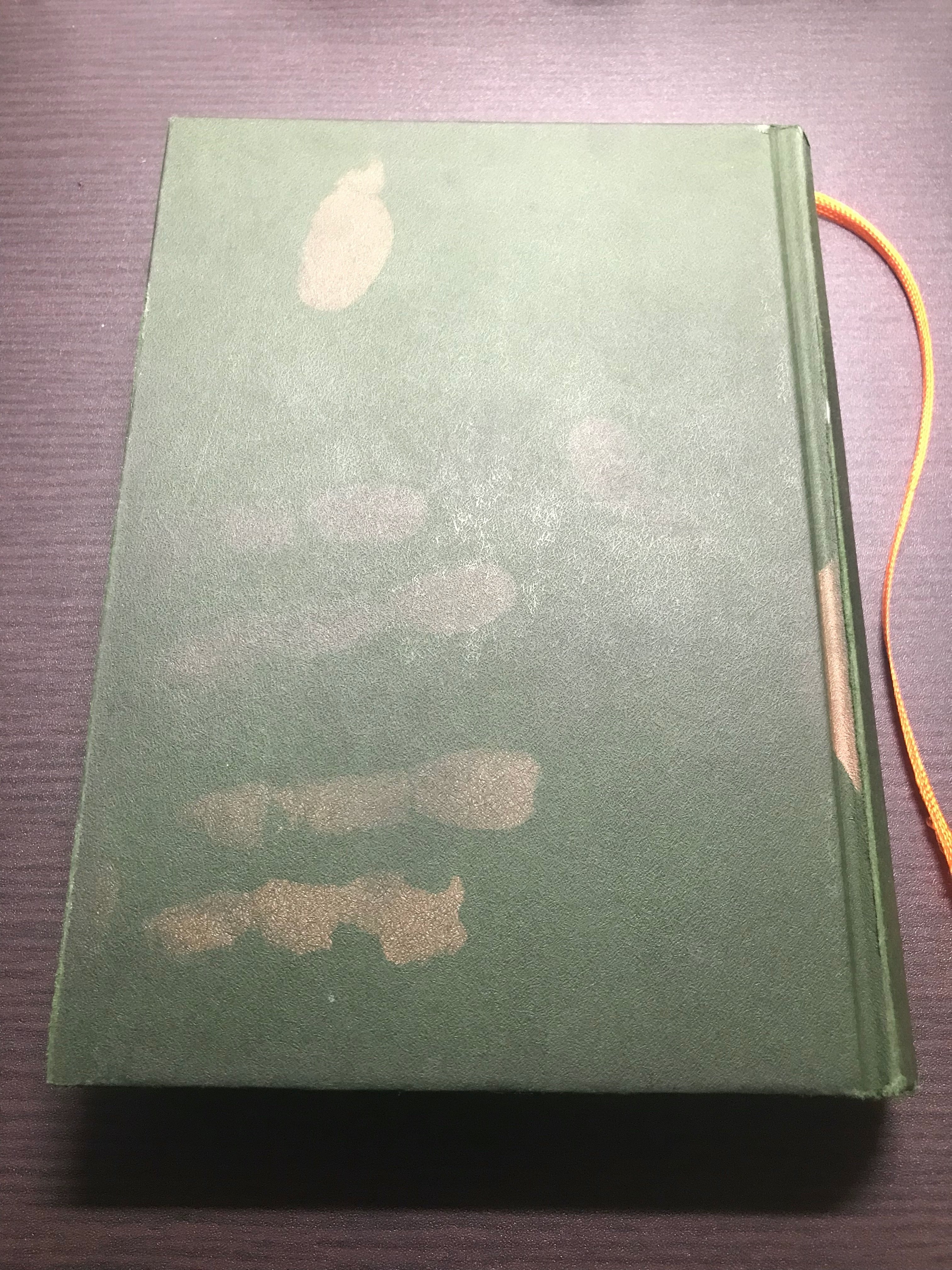 ホセ・レサマ=リマ『パラディーソ』 読書メモ|kqck