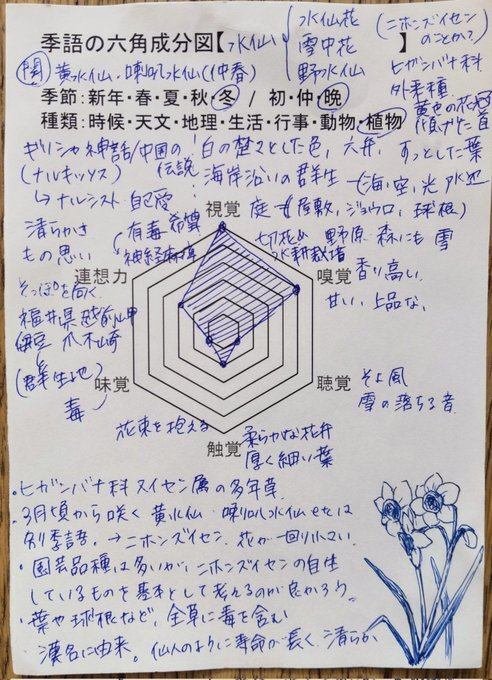 季語六角成分図「水仙」｜碧西里