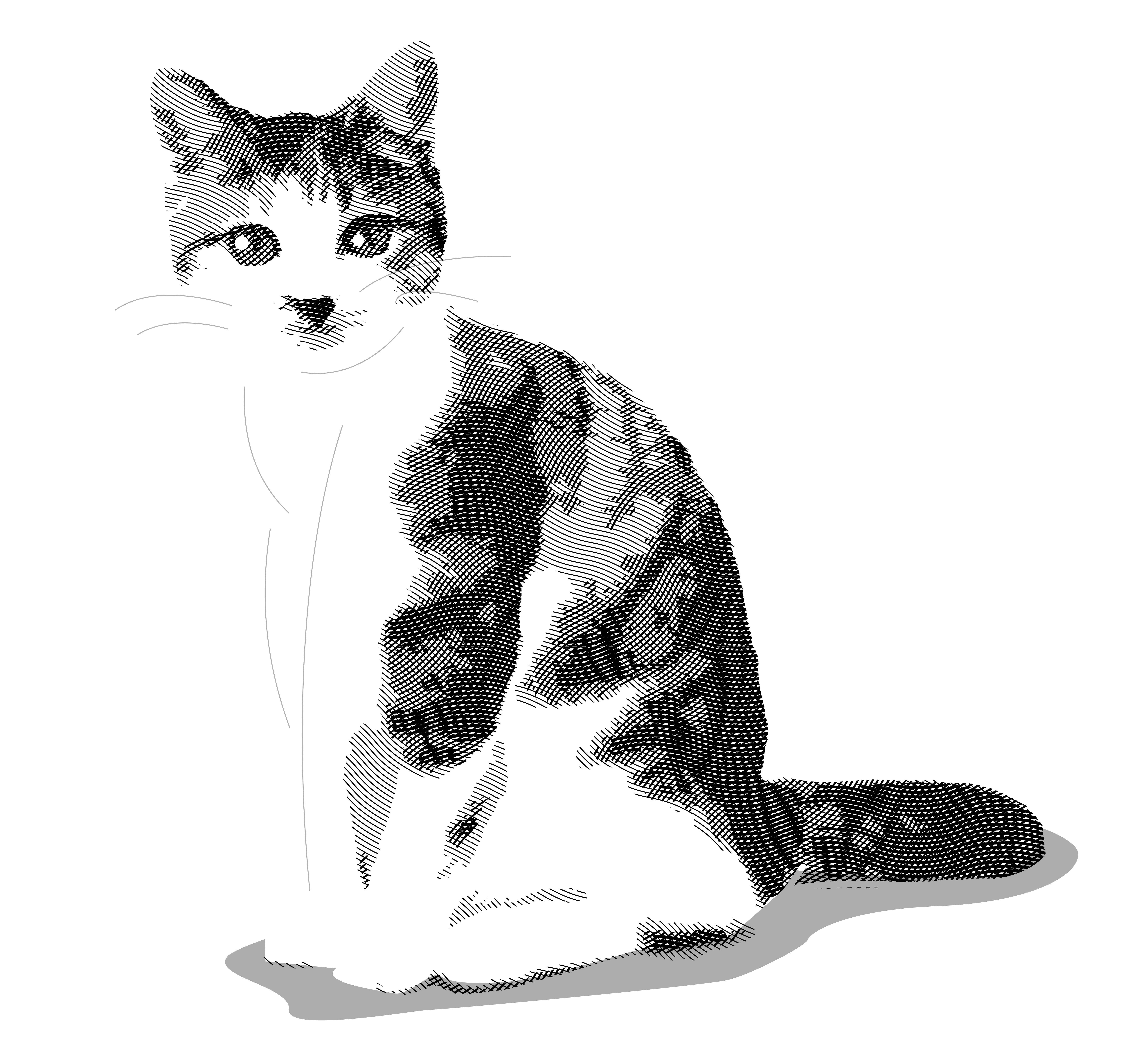 子猫ウメ」猫イラスト（原画） | iichi 日々の暮らしを心地よく