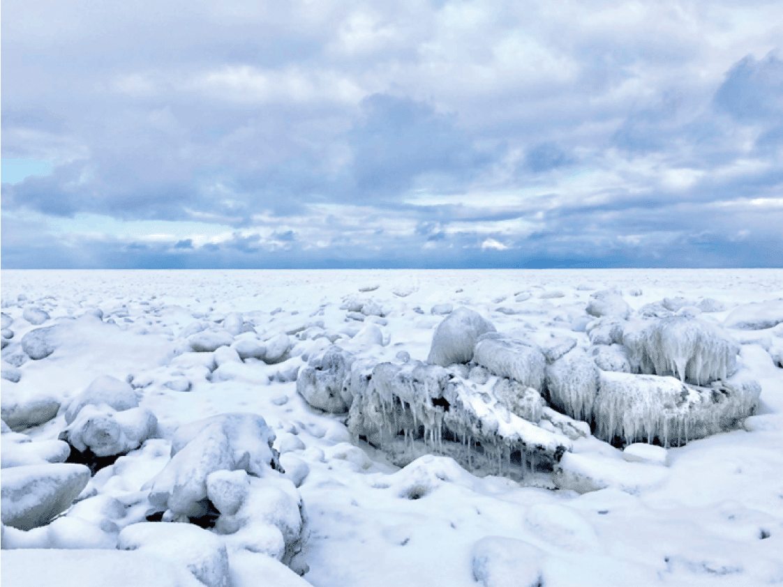 極寒のオホーツクから〜真冬の興部町と牧場リアルレポート〜｜ノース