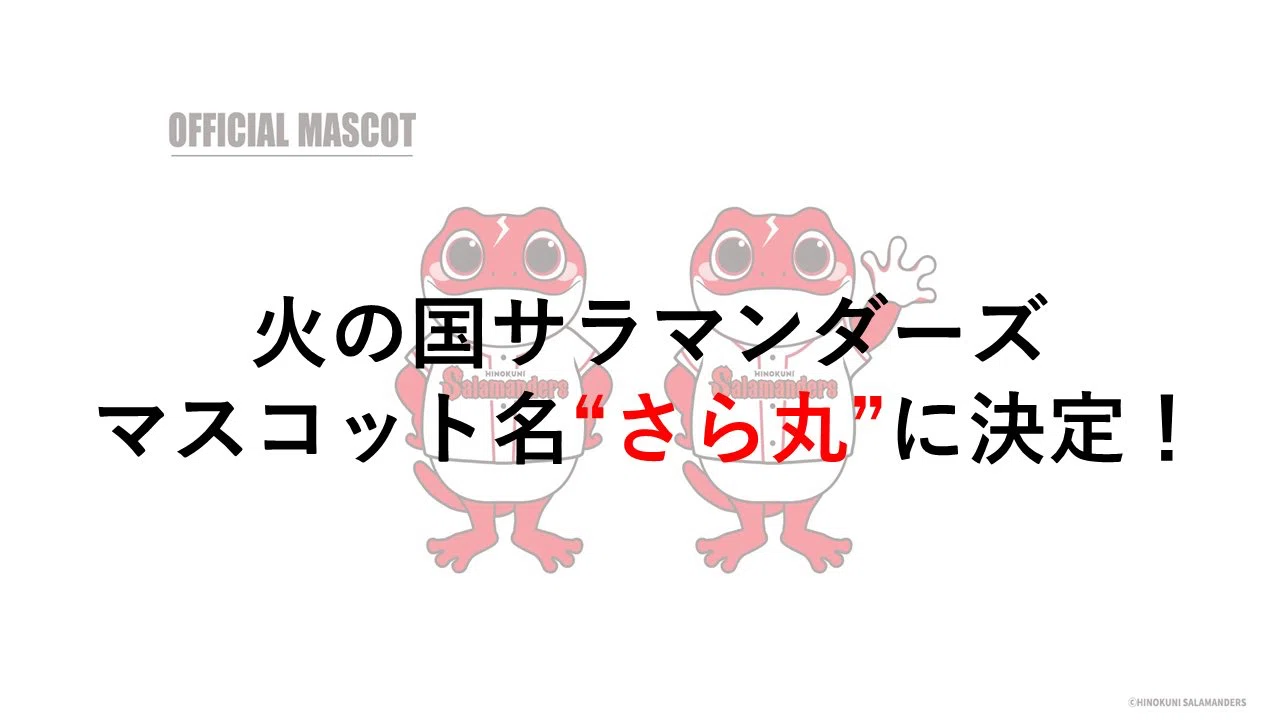 チーム紹介】さら丸が誕生するまで【誕生日】｜サク来