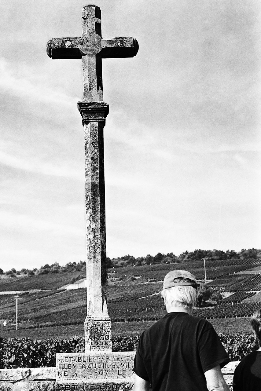 ロマネ・コンティ1945｜西野鷹志