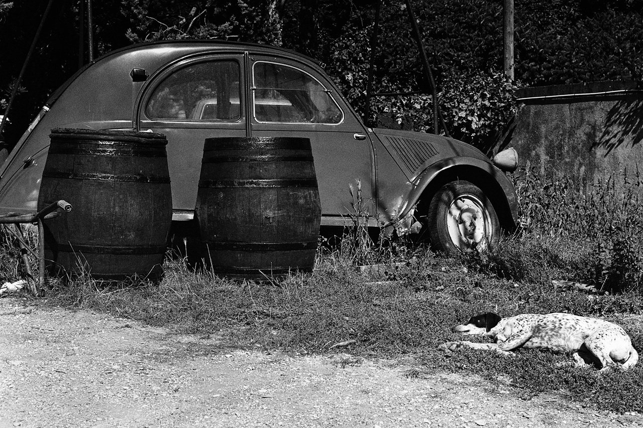 ロマネ・コンティ1945｜西野鷹志