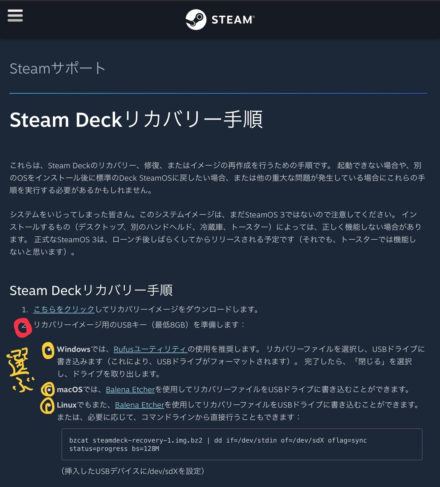 Steam deck】丁寧なサポート対応と、無知なガジェッター｜書店員のすヽめ