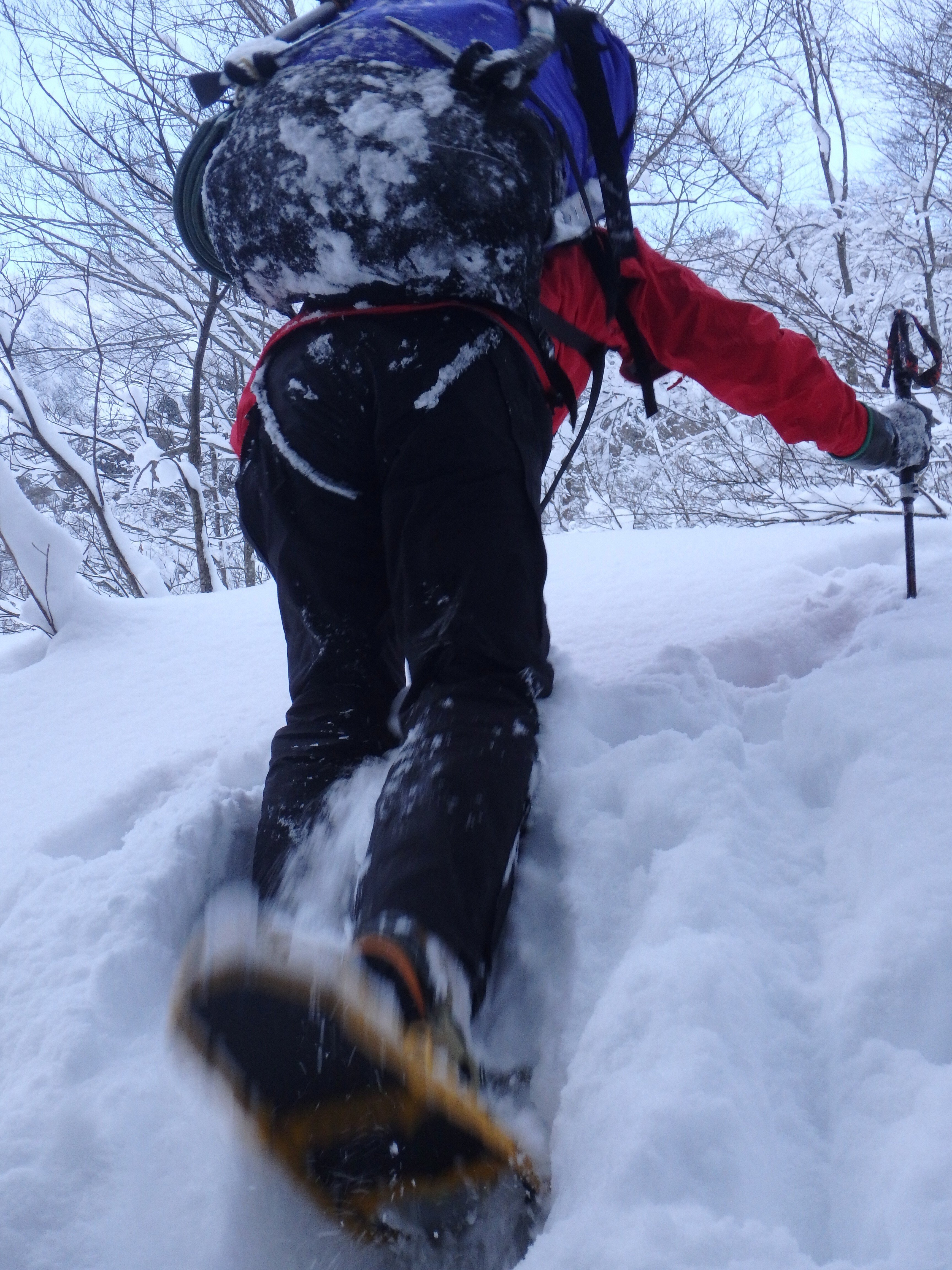 R4年・冬剱（早月尾根2400mまで）｜香川浩士