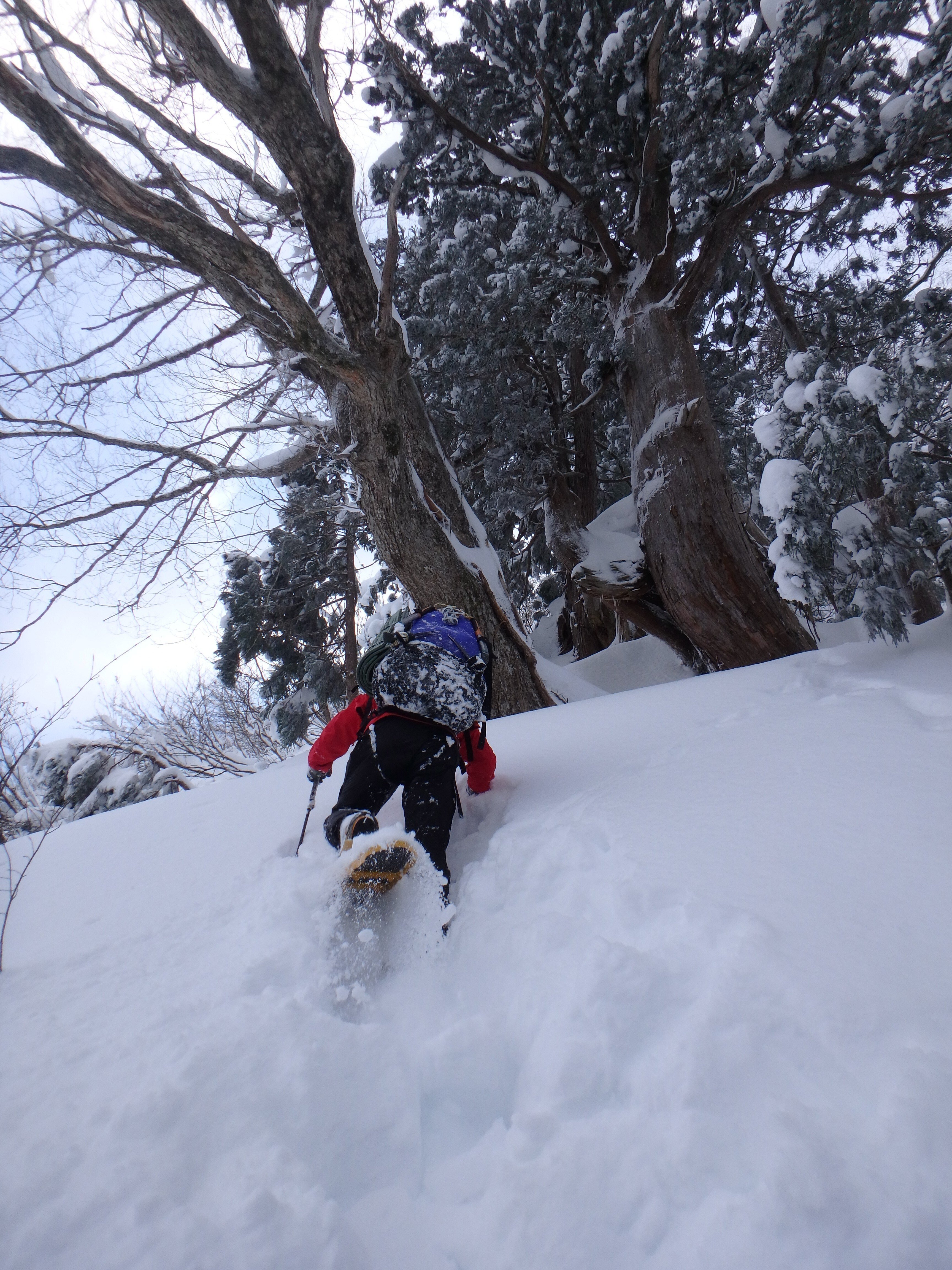 R4年・冬剱（早月尾根2400mまで）｜香川浩士