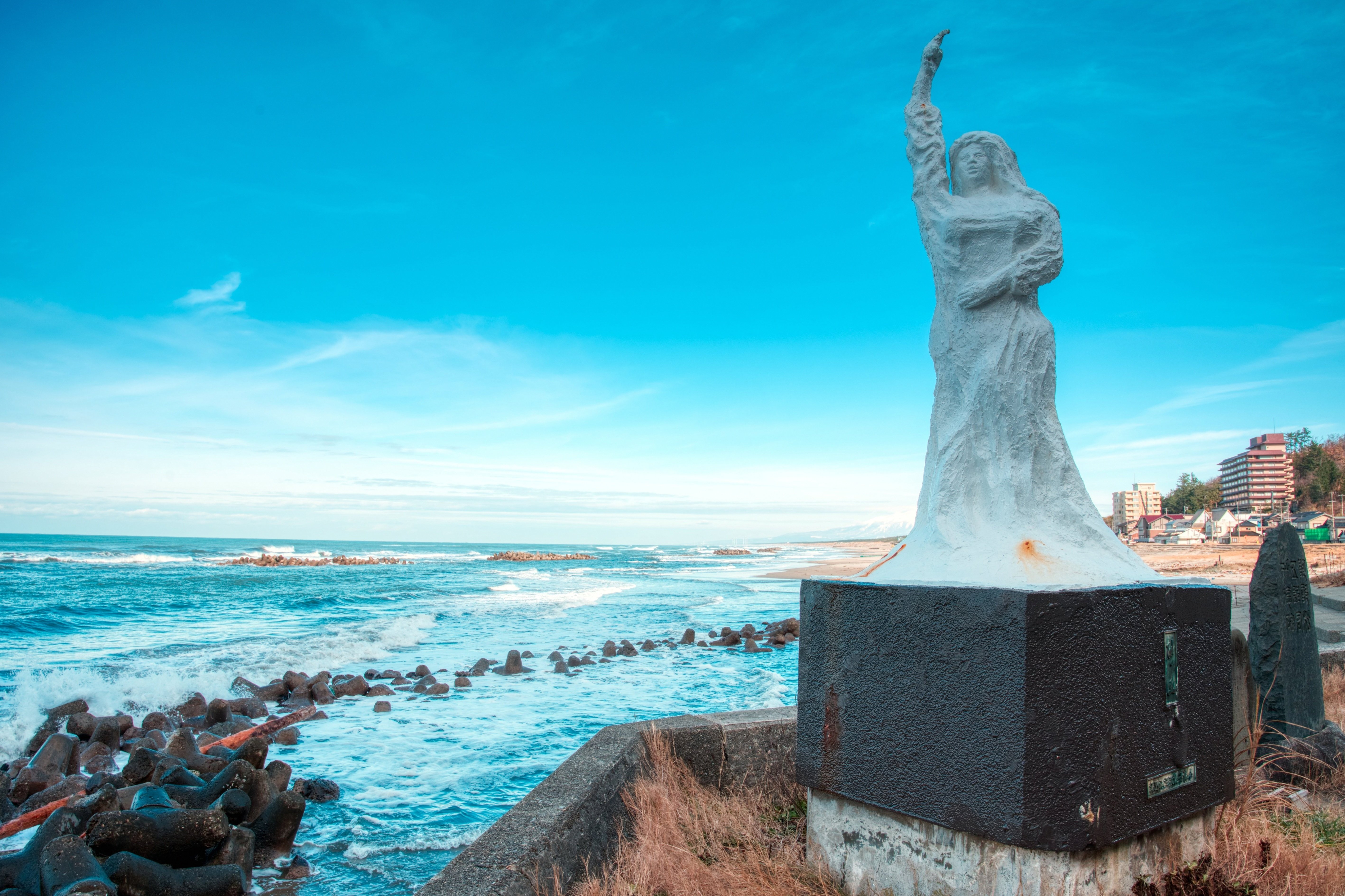 山形県】鶴岡市立加茂水族館に行った写真【クラゲ】｜ya