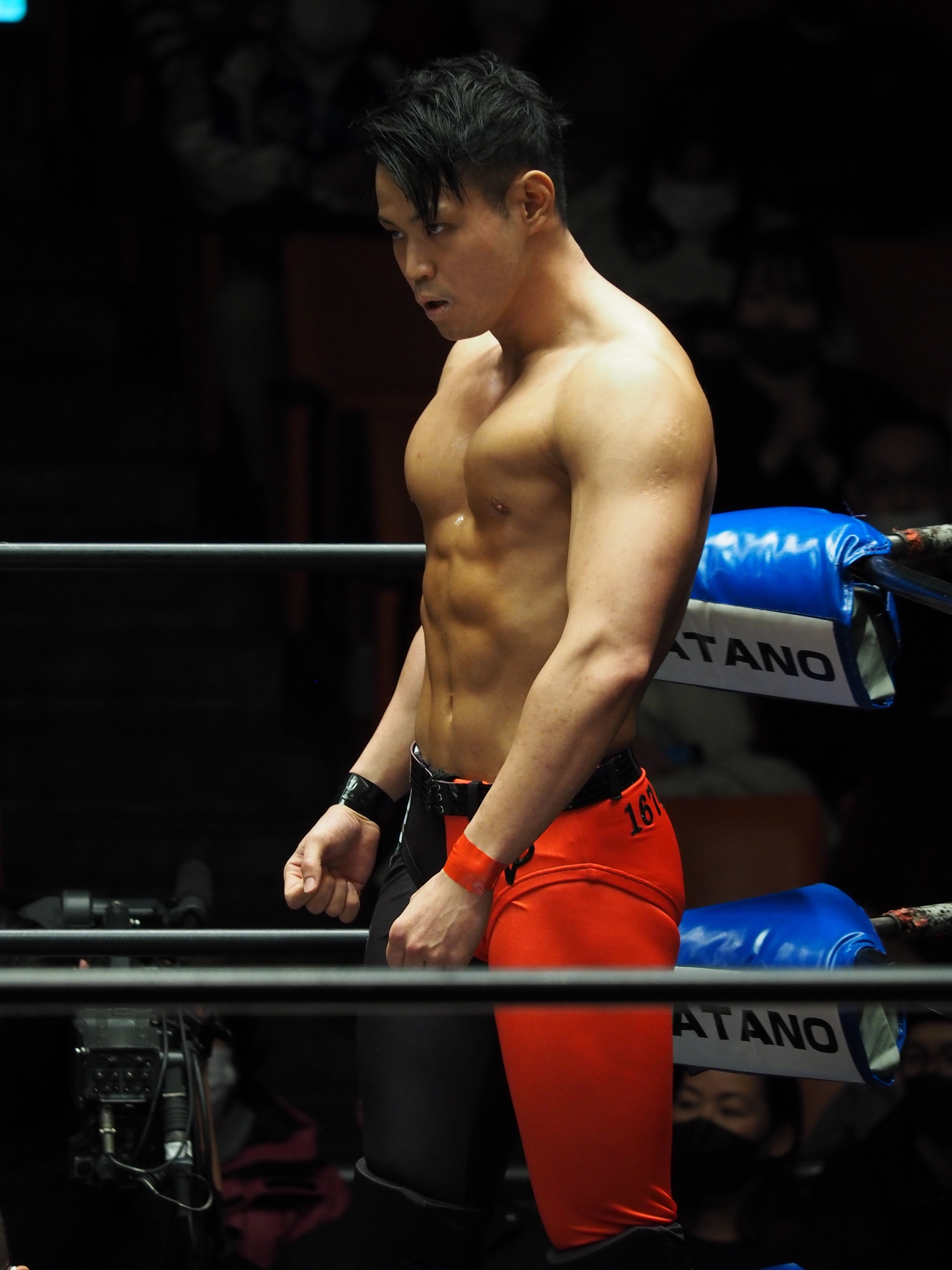 2023年の活躍に注目したいプロレスラーについて｜レンブラント