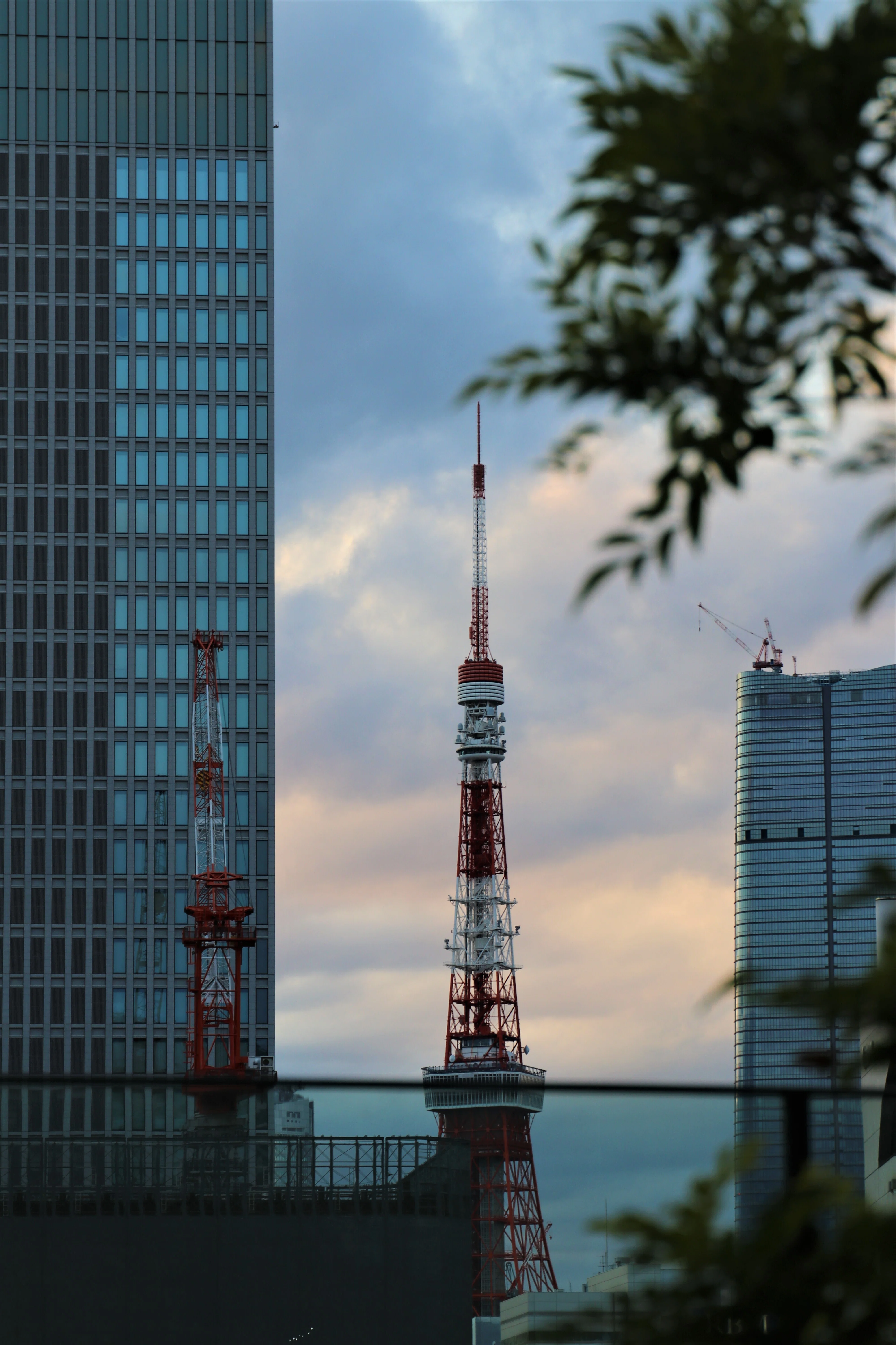 写真】新春,東京タワー 凛々しく怪しいその美しさ｜Abbey -旅するよう