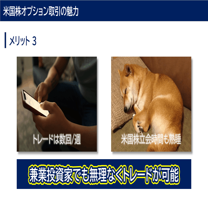 第1回】米国株オプション取引の魅力｜DVmark 🐾 Option Trader