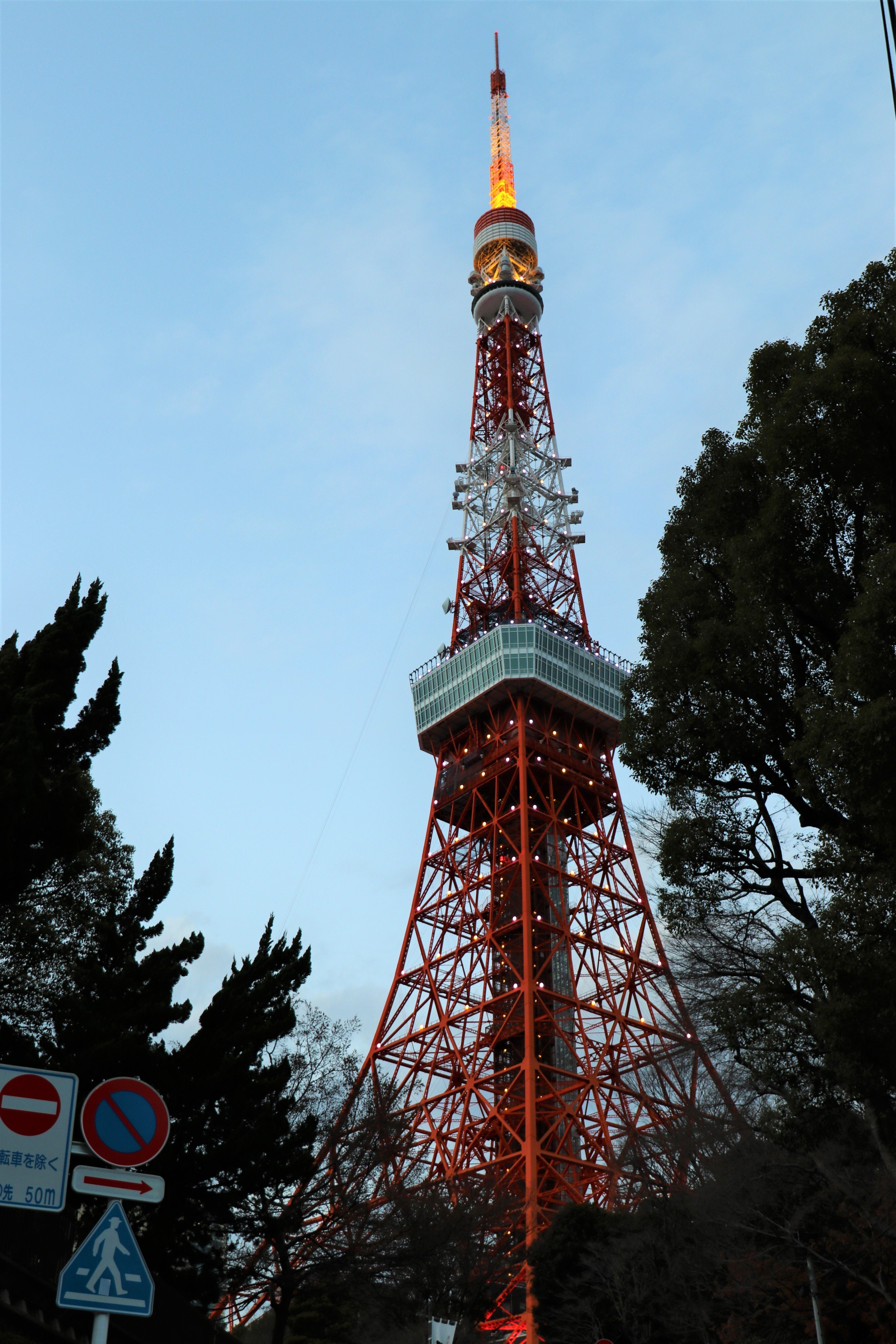 写真】新春,東京タワー 凛々しく怪しいその美しさ｜Abbey -旅するよう