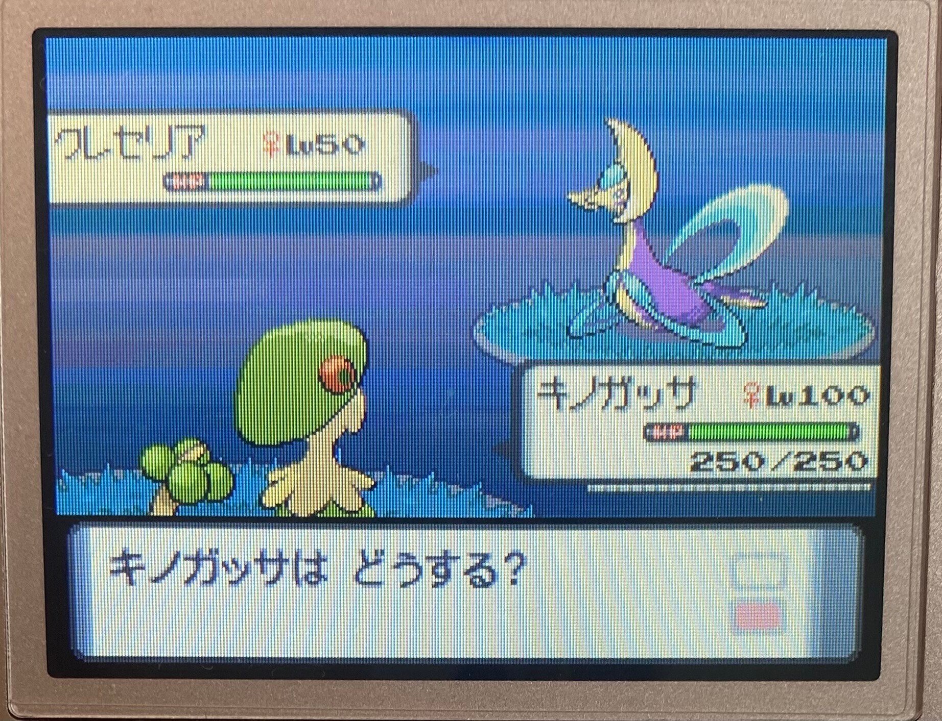 ポケモン ダイパ クレセリア乱数 必要なモノ エイプル Note ポケモン ダイパ クレセリア乱数 必要なモノ エイプル Note