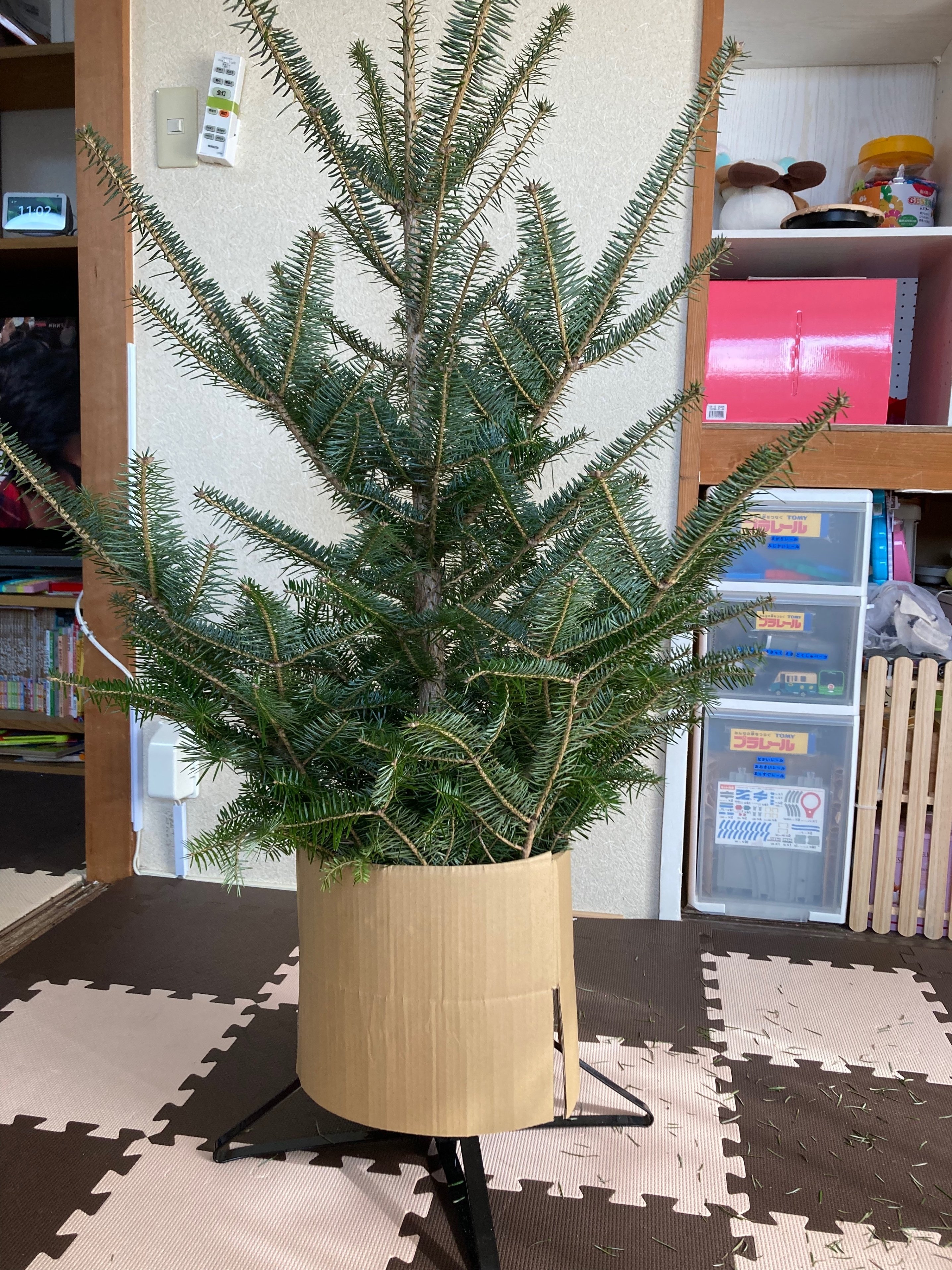 IKEA生モミの木、置く場所ないから門松にして置いといた｜いけだゆみ