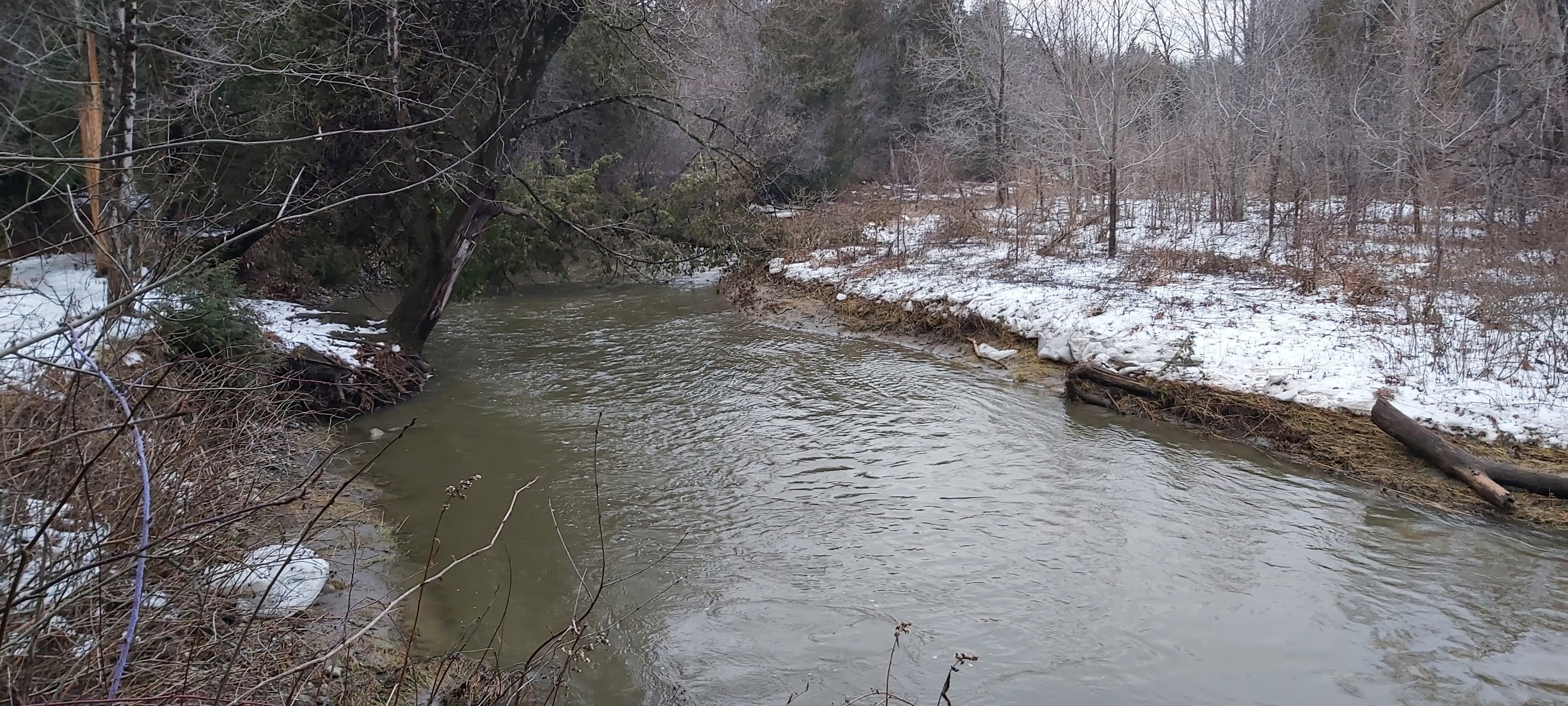 昨日のつぶやき 新年初歩き の続きです 1月2日 ワイフ 息子 孫たちとシートン ハイキング トレイルを歩いたのですが そこですごいものを見つけたんです たなかよしあき Note 昨日のつぶやき 新年初歩き の続きです 1月2日 ワイフ 息子 孫たちとシートン ハイキング トレイルを歩いたのですが そこですごいものを見つけたんです たなかよしあき Note