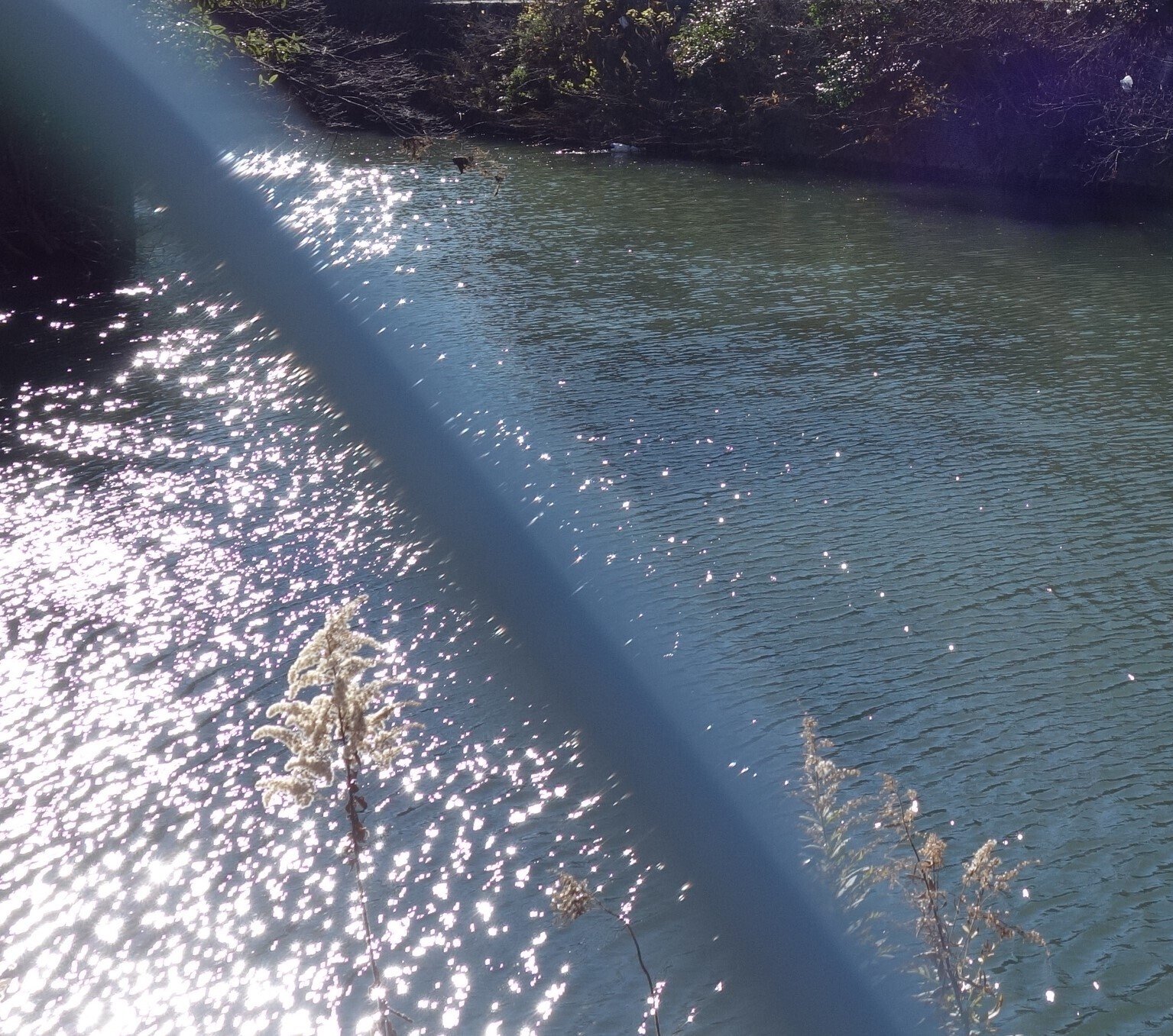 午後(冬|zep0814 i理昭