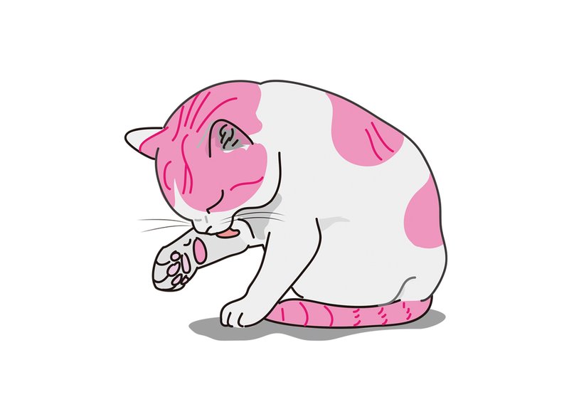 ピンクの猫