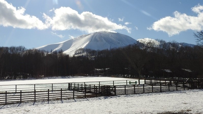 スウィートグラス クリアランス 雪がない