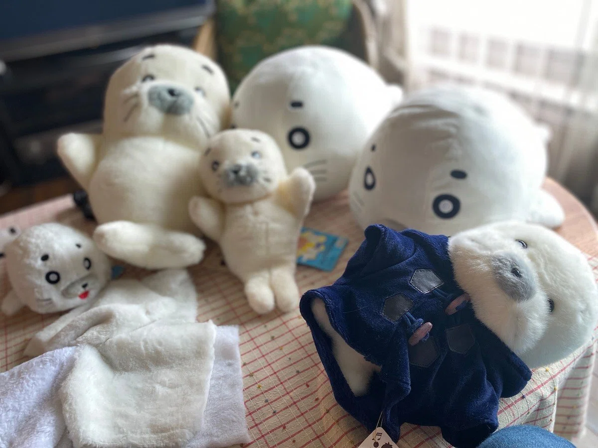 ゴマちゃんの新しいぬいぐるみについて。｜森下裕美公式note / ゴマ